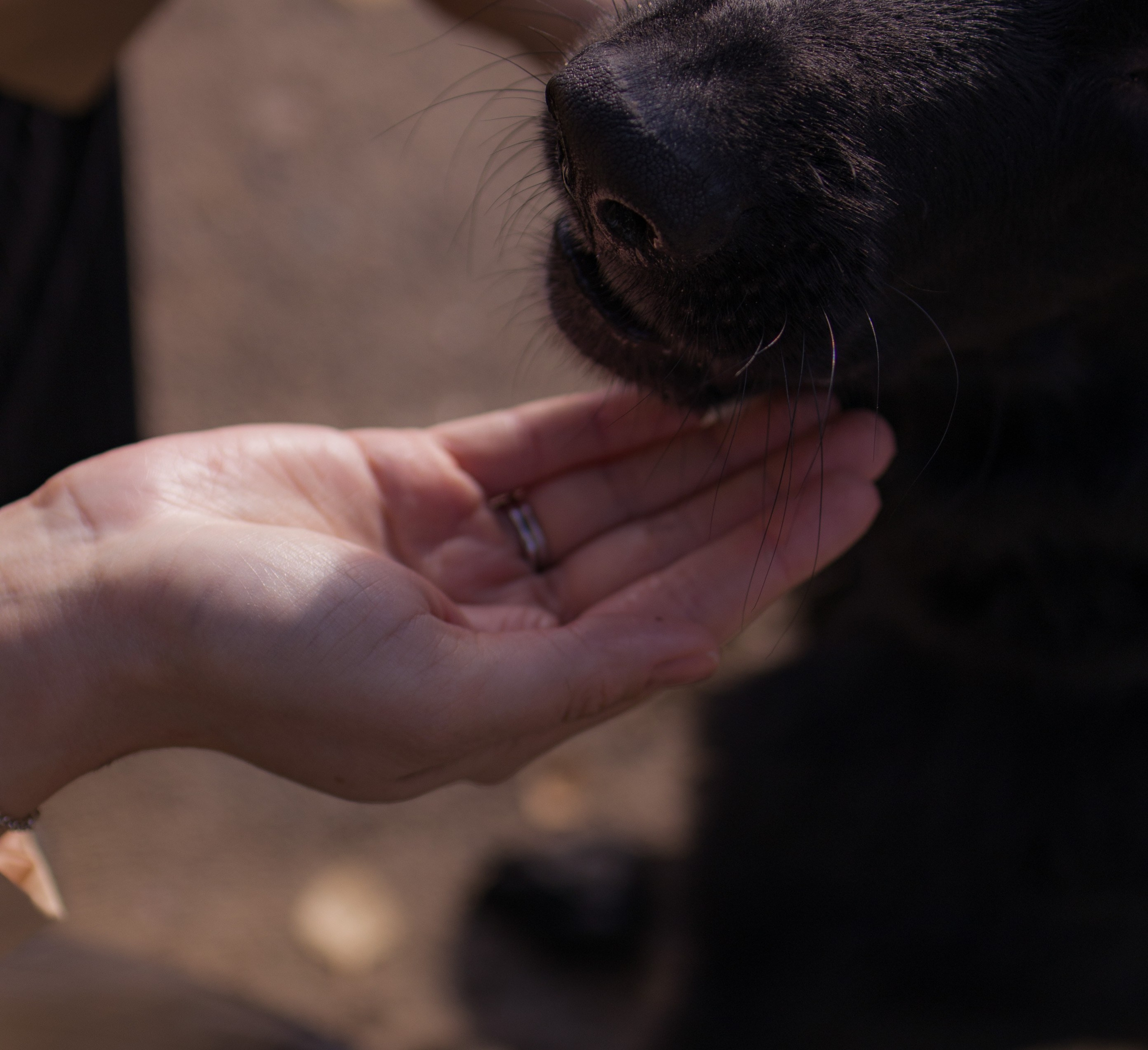 Даша и Дэни. Художественная фотография