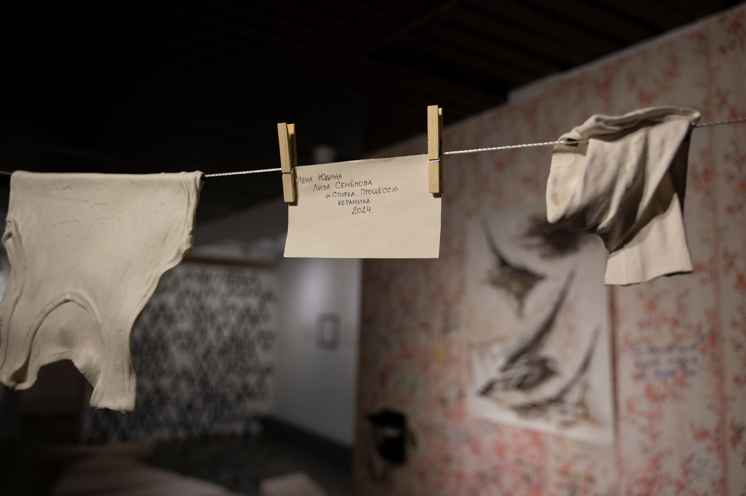 Проект *Стирание рутин*. Семенова Елизавета художник