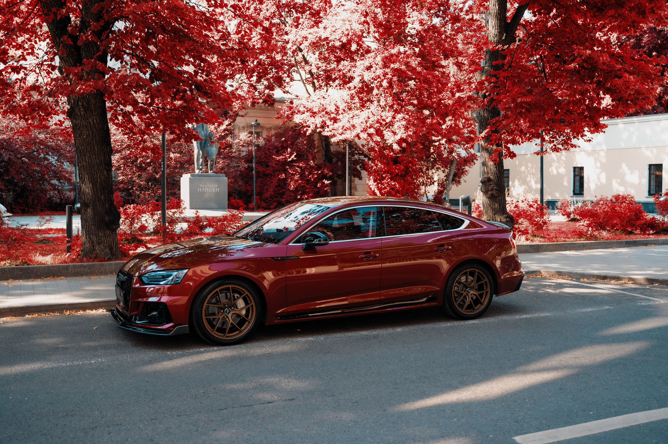 Audi. Фотограф Вадим Лакомкин