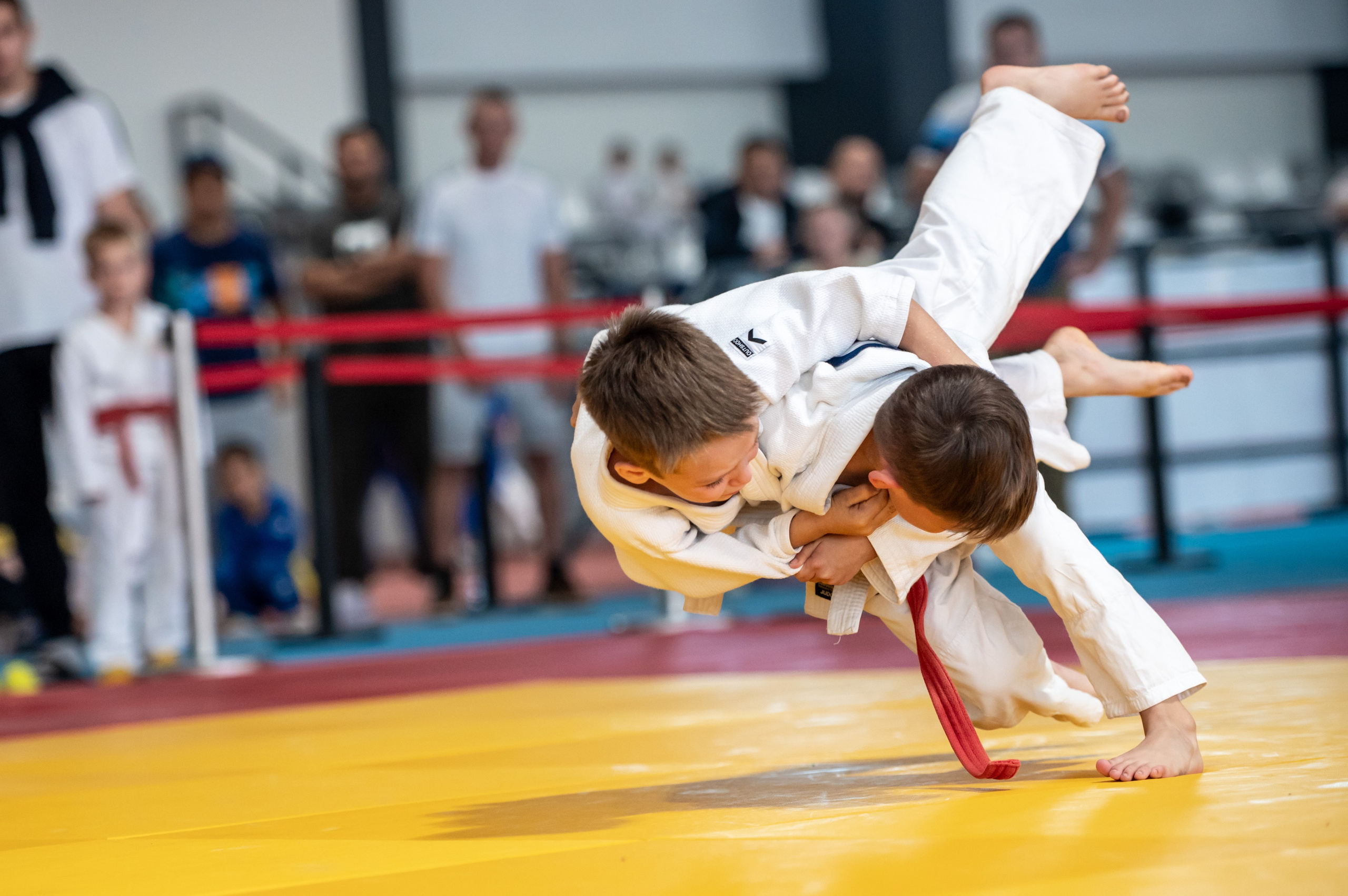 Турнир по дзюдо «Тульский левша», сентябрь 2024. Спортивный фотограф в Туле и Тульской области. Файсханова Фото Спорт