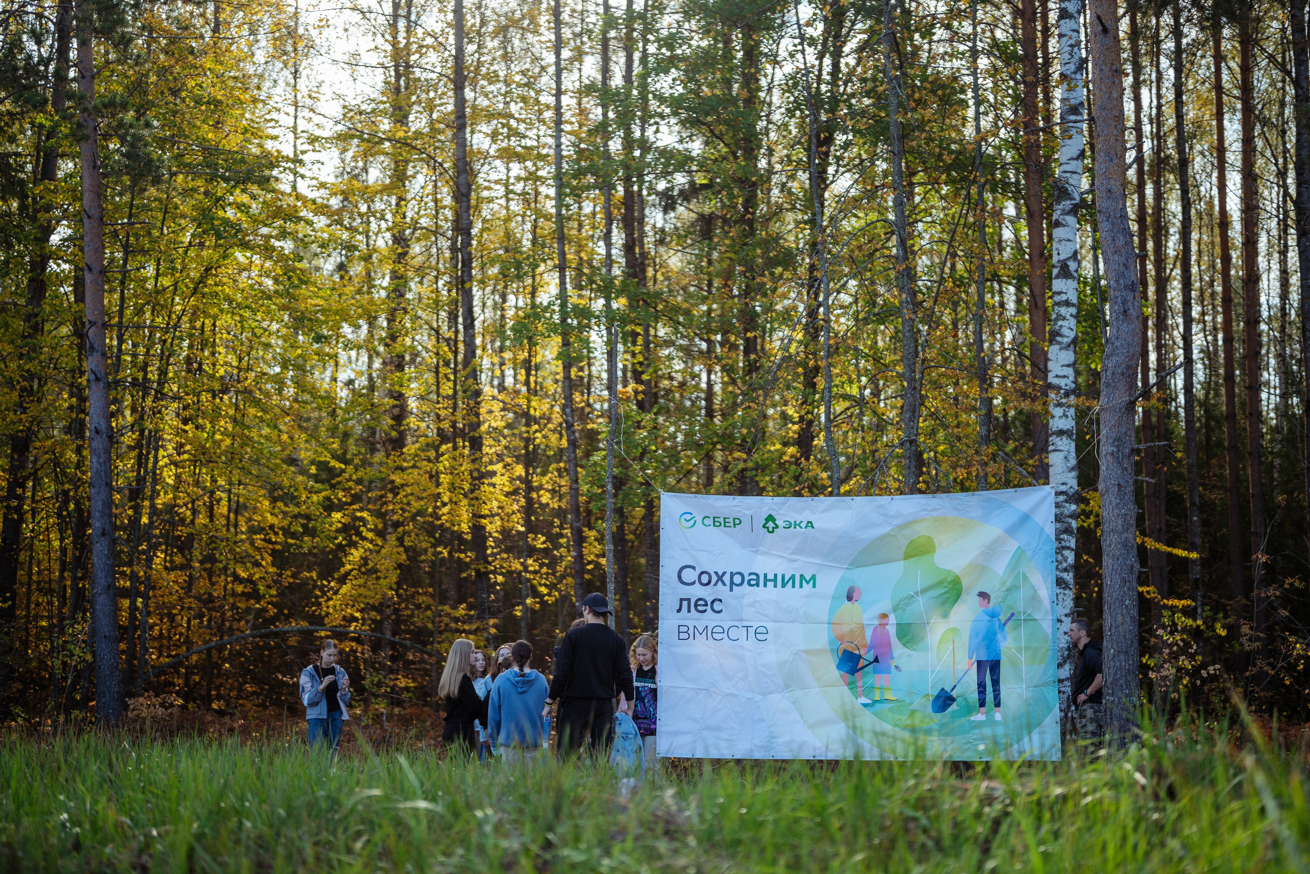 СБЕР · ЭКА · Посадка сеянцев. Владимир Вершинин, тот самый свадебный видеограф