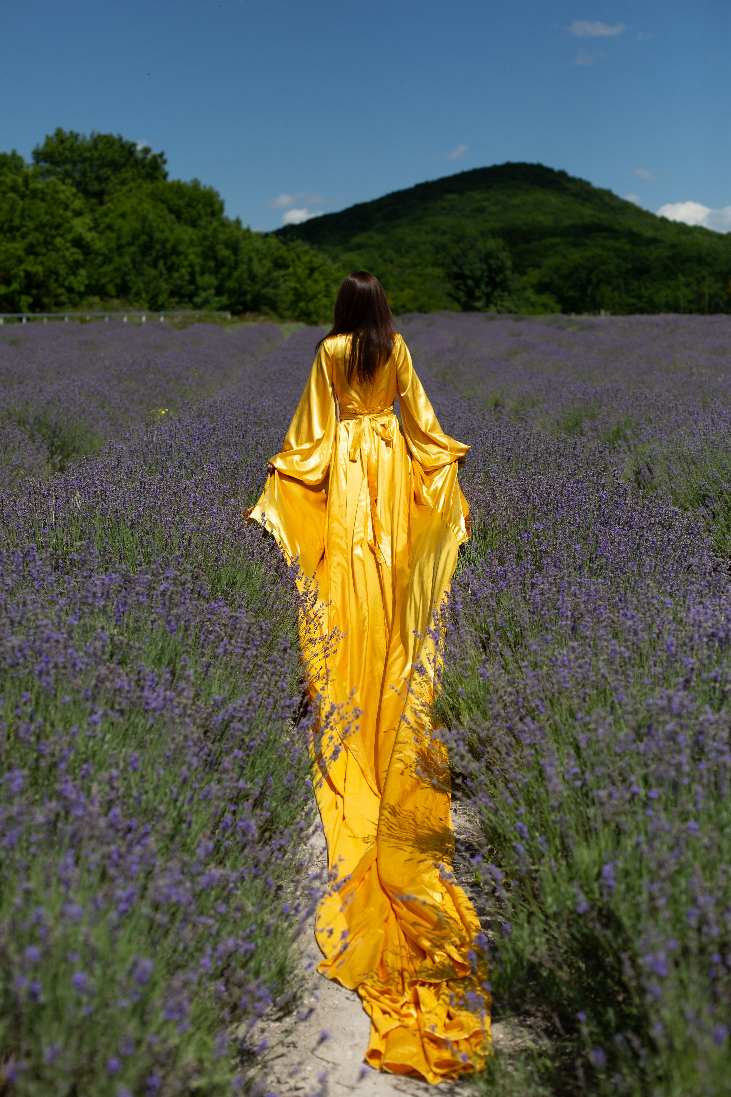 Лавандовые поля