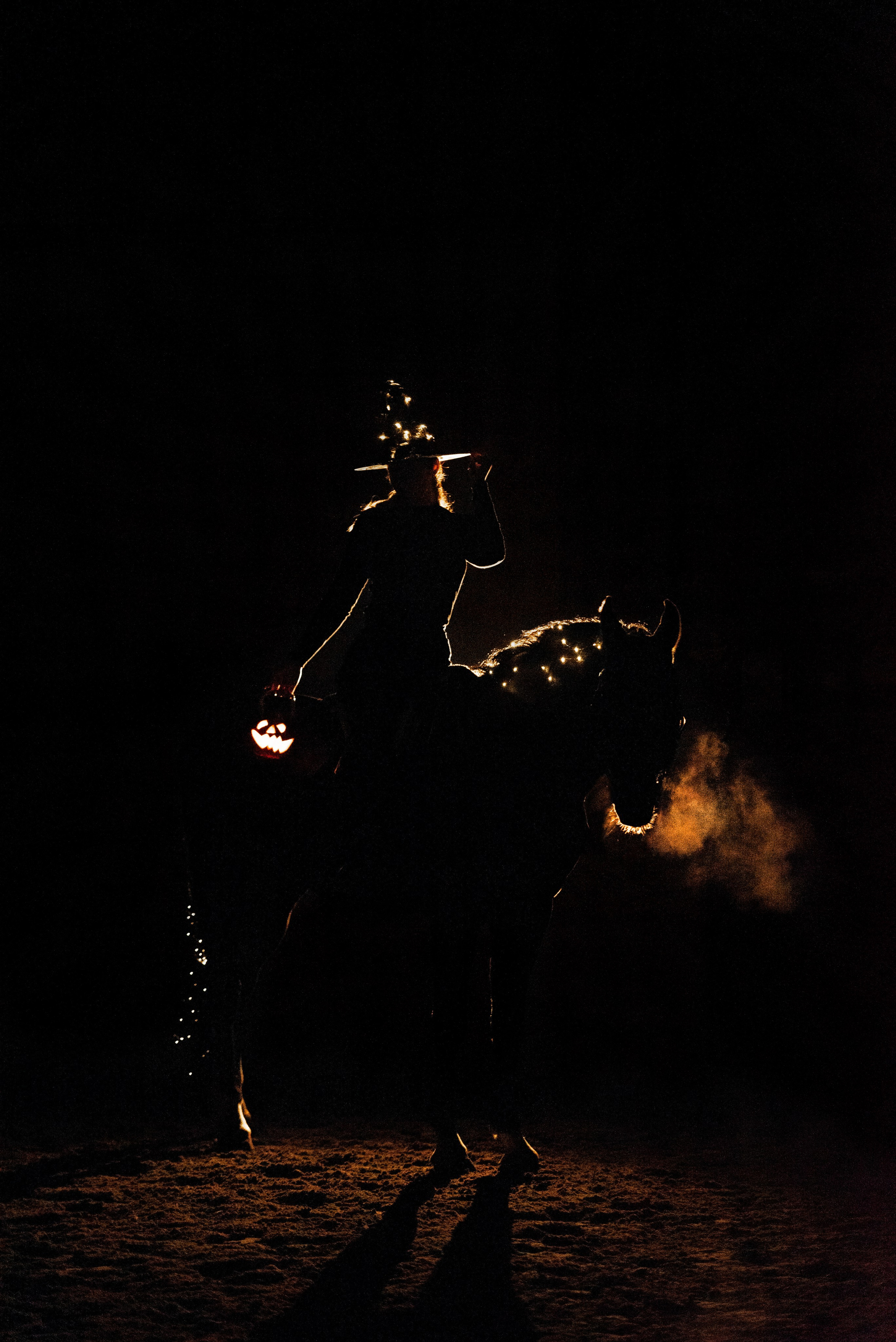 HORSIO Halloween. Конный фотограф Куракина Дарья • Фотосессии с лошадьми