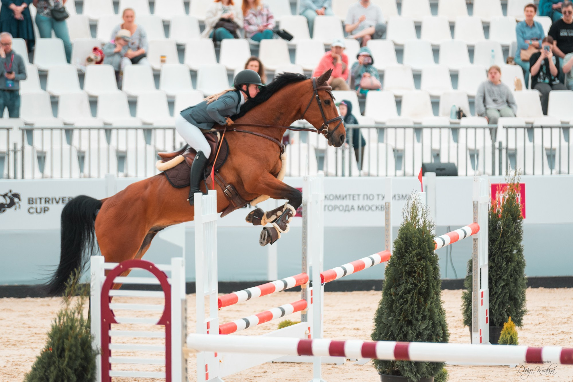 BITRIVER CUP 2023. Конный фотограф Куракина Дарья • Фотосессии с лошадьми