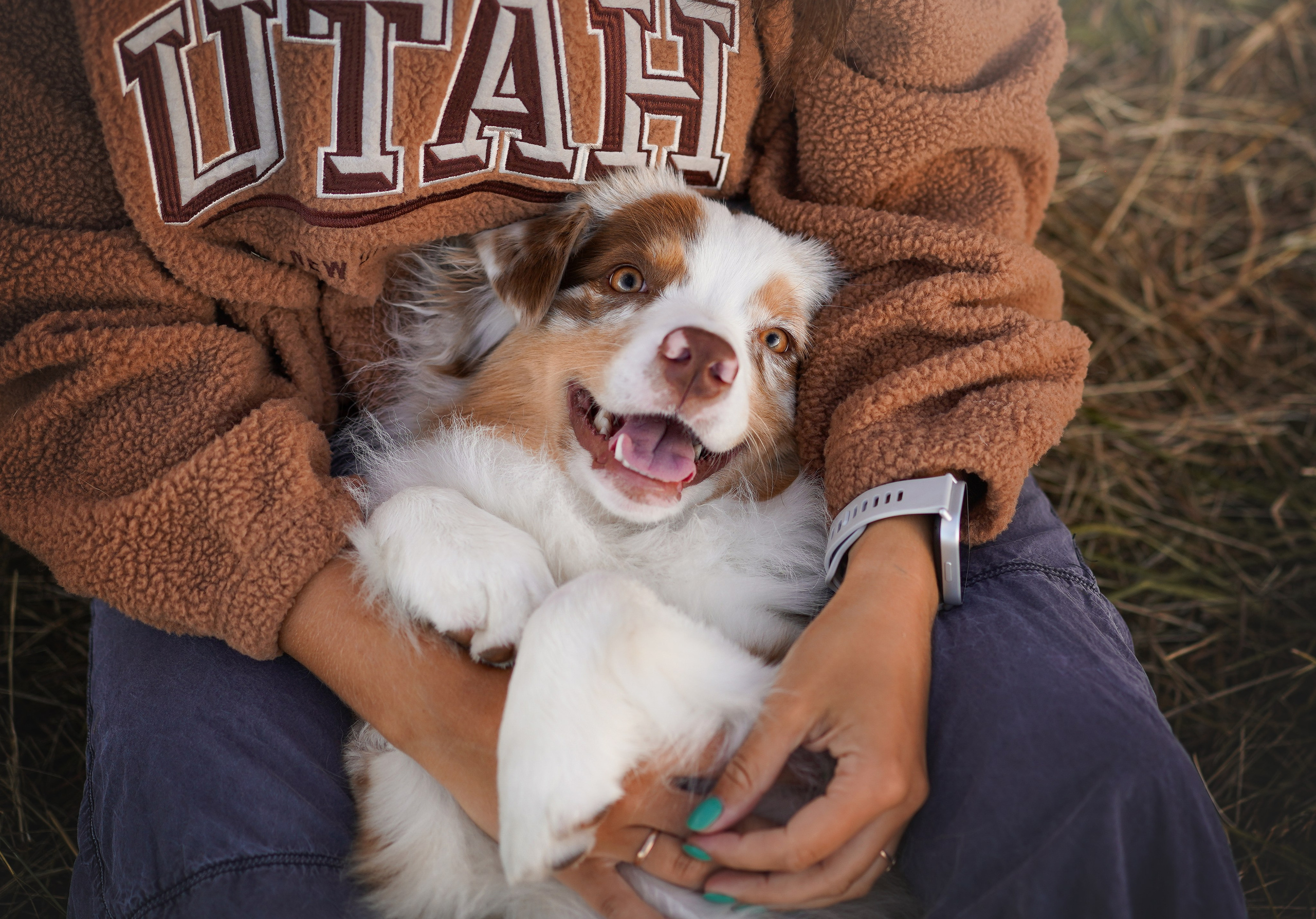 Панда и стога. Фотограф-анималист в Санкт-Петербурге Яна Мартынова