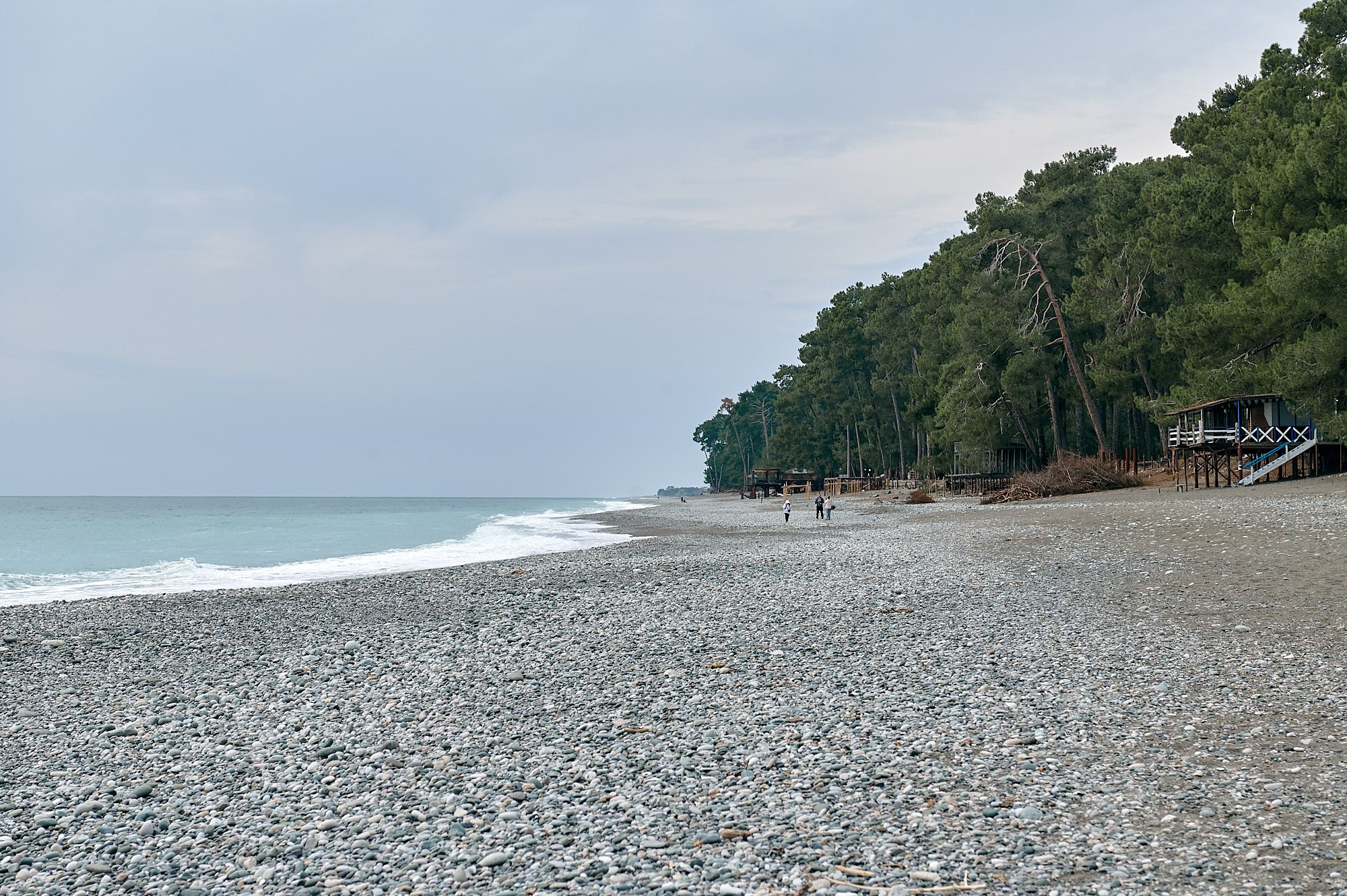 Пицунда, Абхазия. Декабрь 2024. Фотографии отовсюду и обо всем