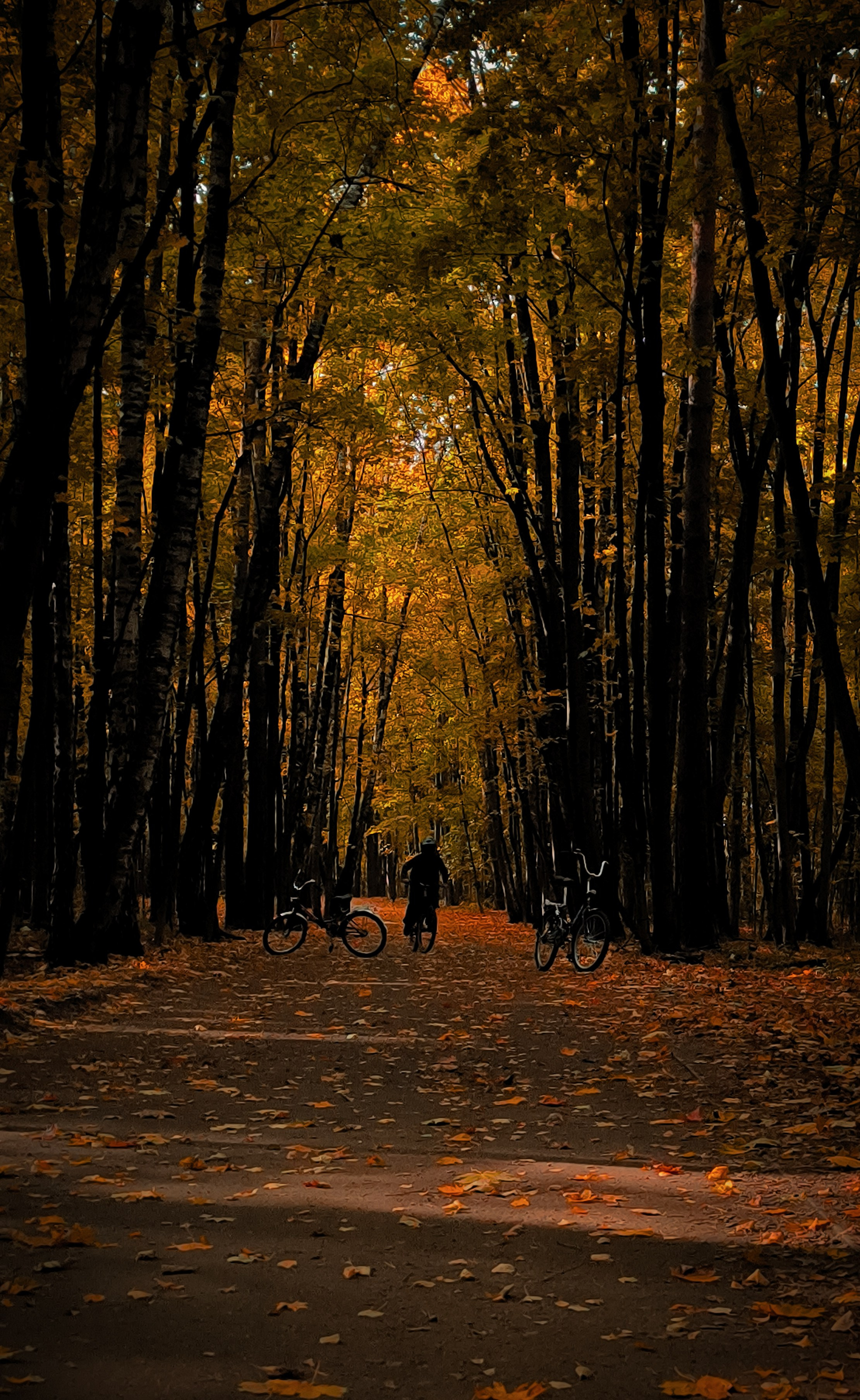 Природа, зверушки. Фотограф и кожевник Кирилл Удалов