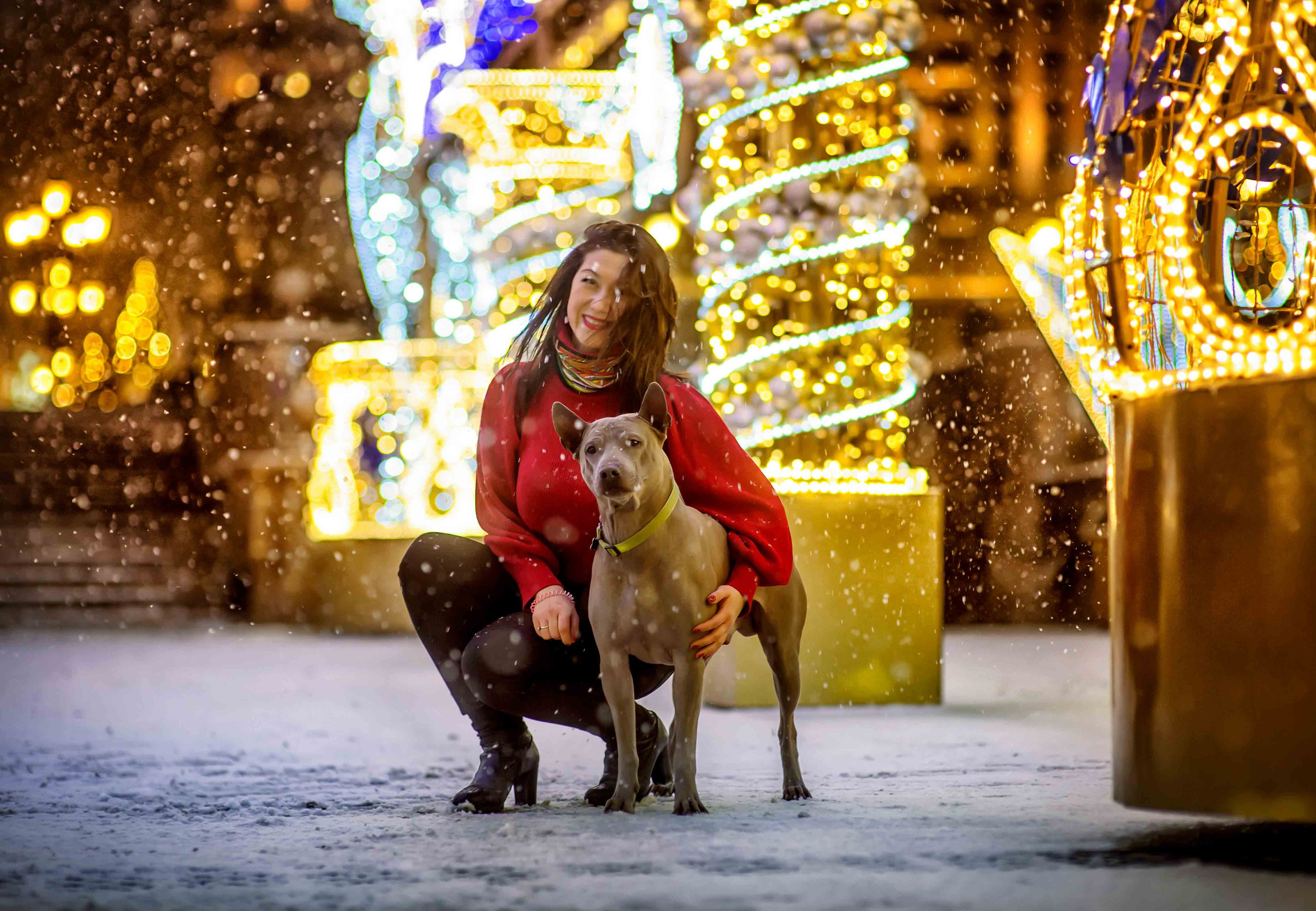 Фото с домашними питомцами. Портретная и свадебная фотосъемка. Москва и область