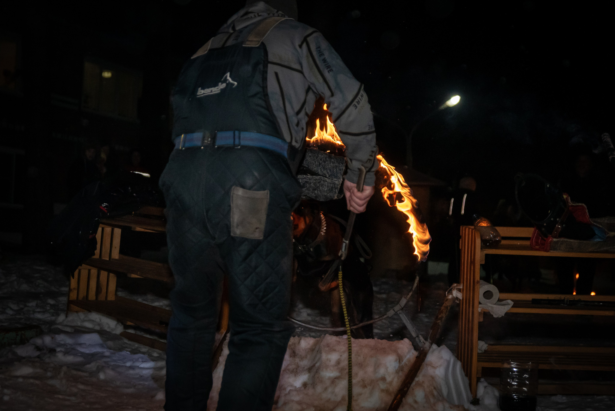Фотосъёмка с собаками в Кинологическом лагере. Фотограф Макс Огурцов в Нижнем Новгороде