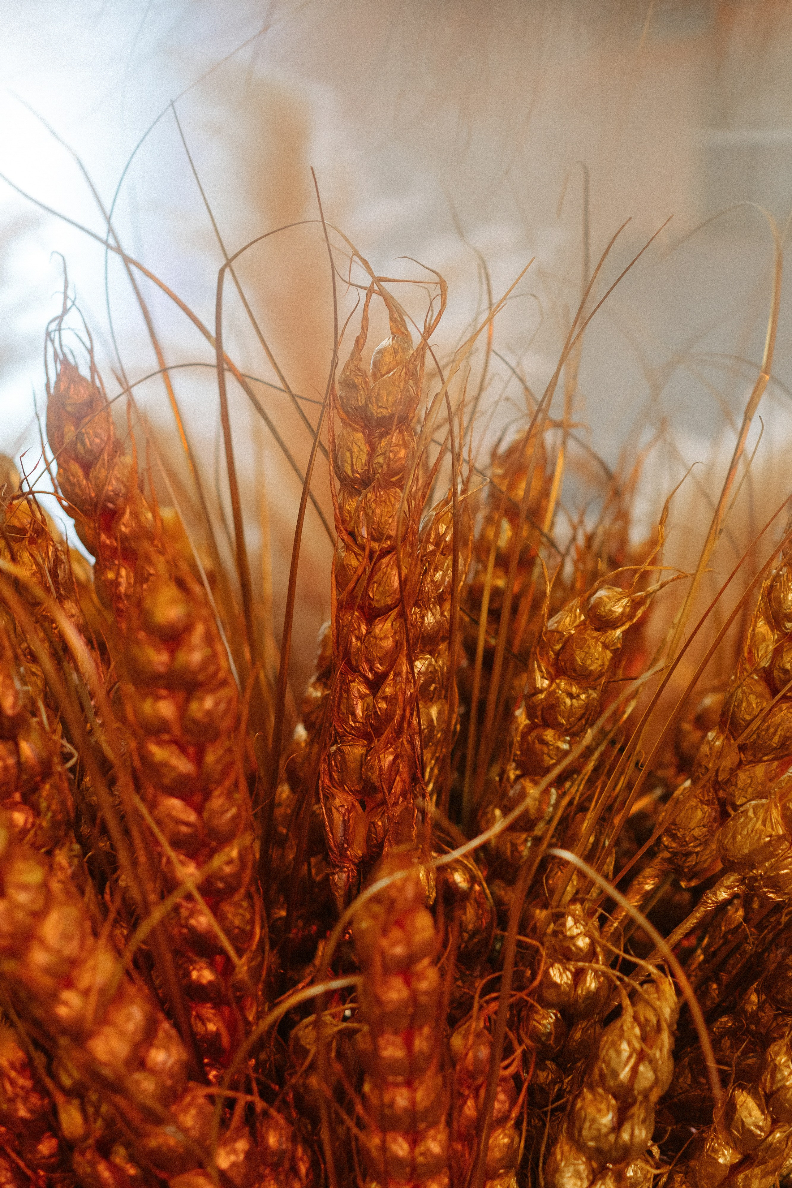 Открытие гриль-бара «СОЛГОН». Фуд и предметный фотограф Виталий Морозов г. Москва