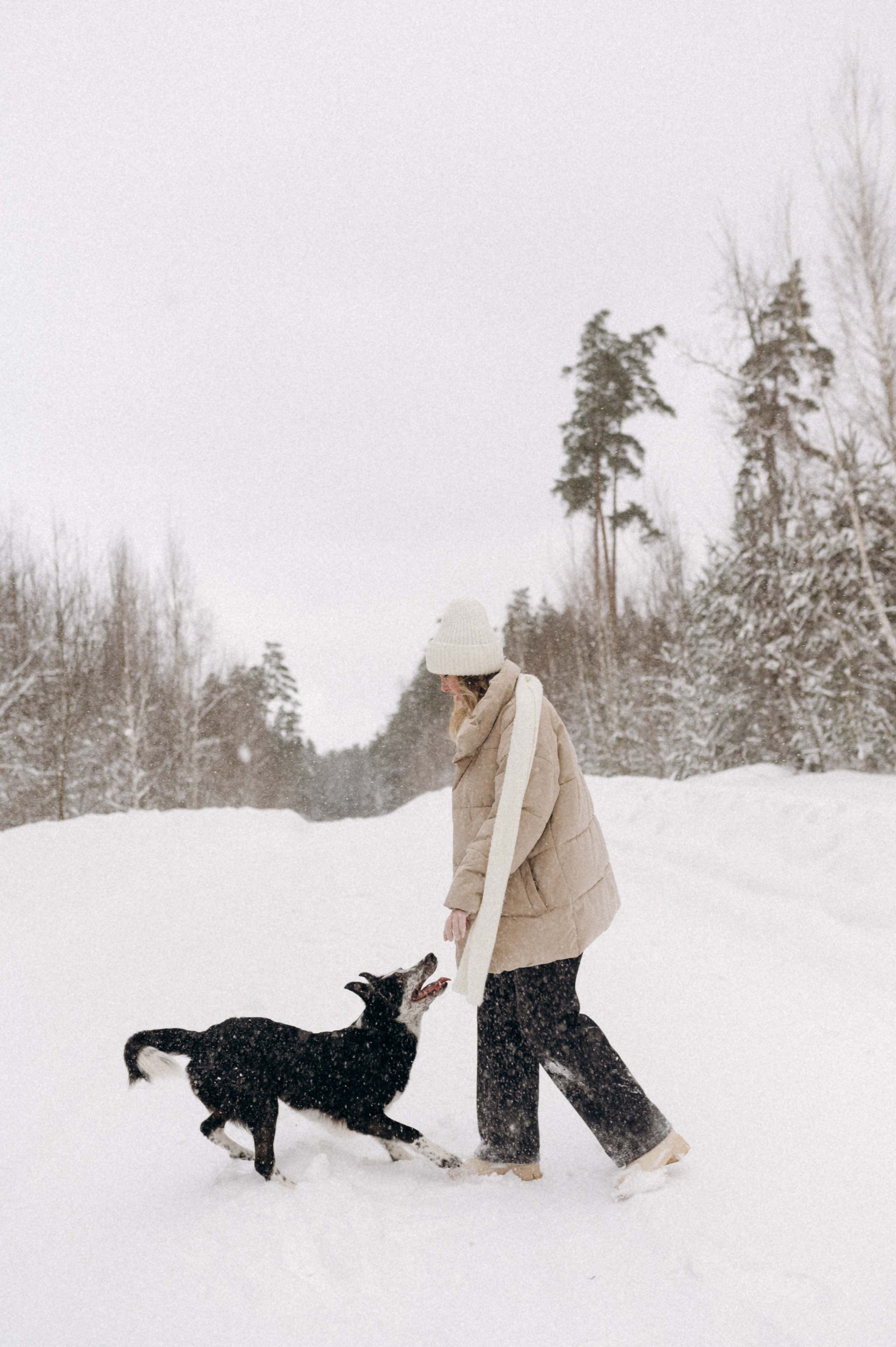 Аня и Милан. Фотограф анималист в Москве Ольга Агушева