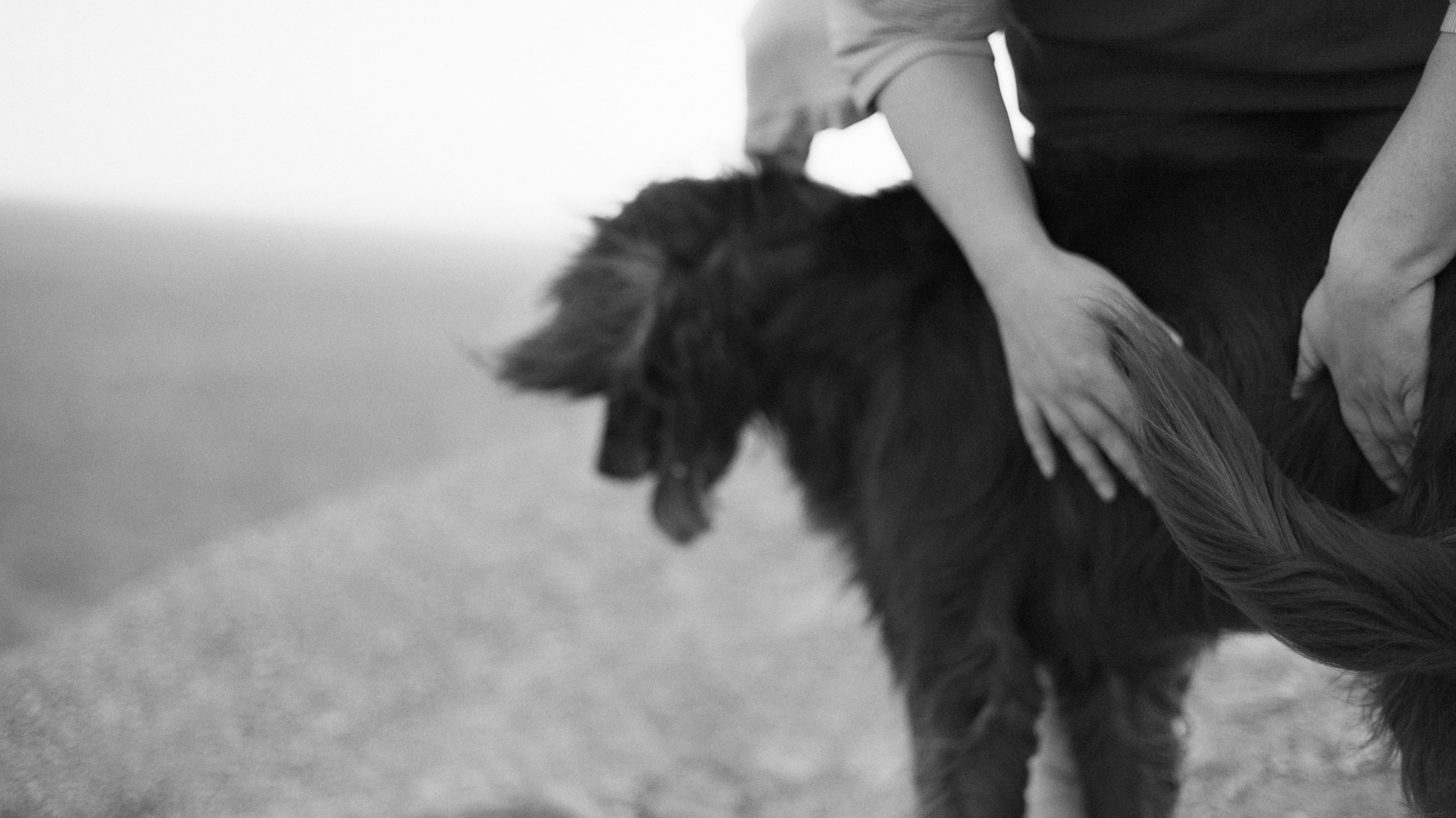 Ольга и Шеймас. Фотограф-анималист Богданова Полина