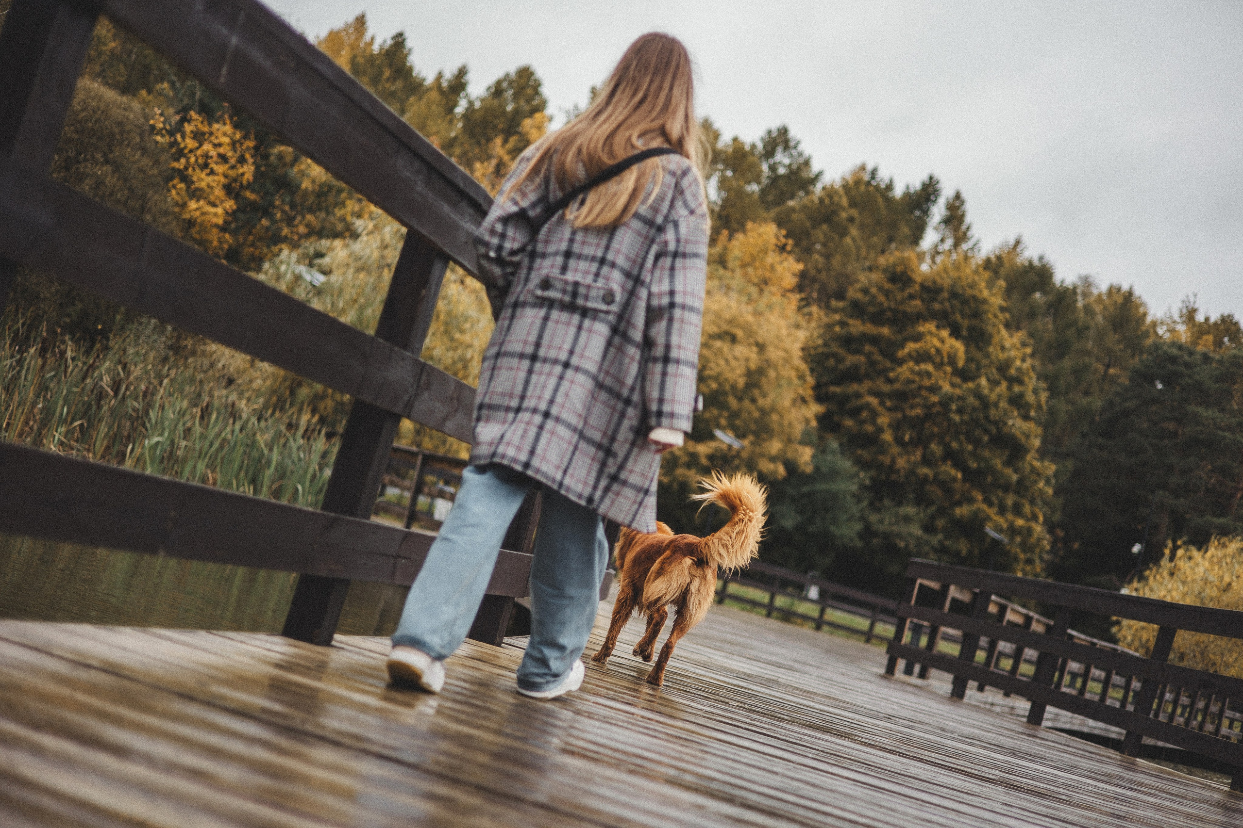 Алина и Бис. Фотограф-анималист Богданова Полина