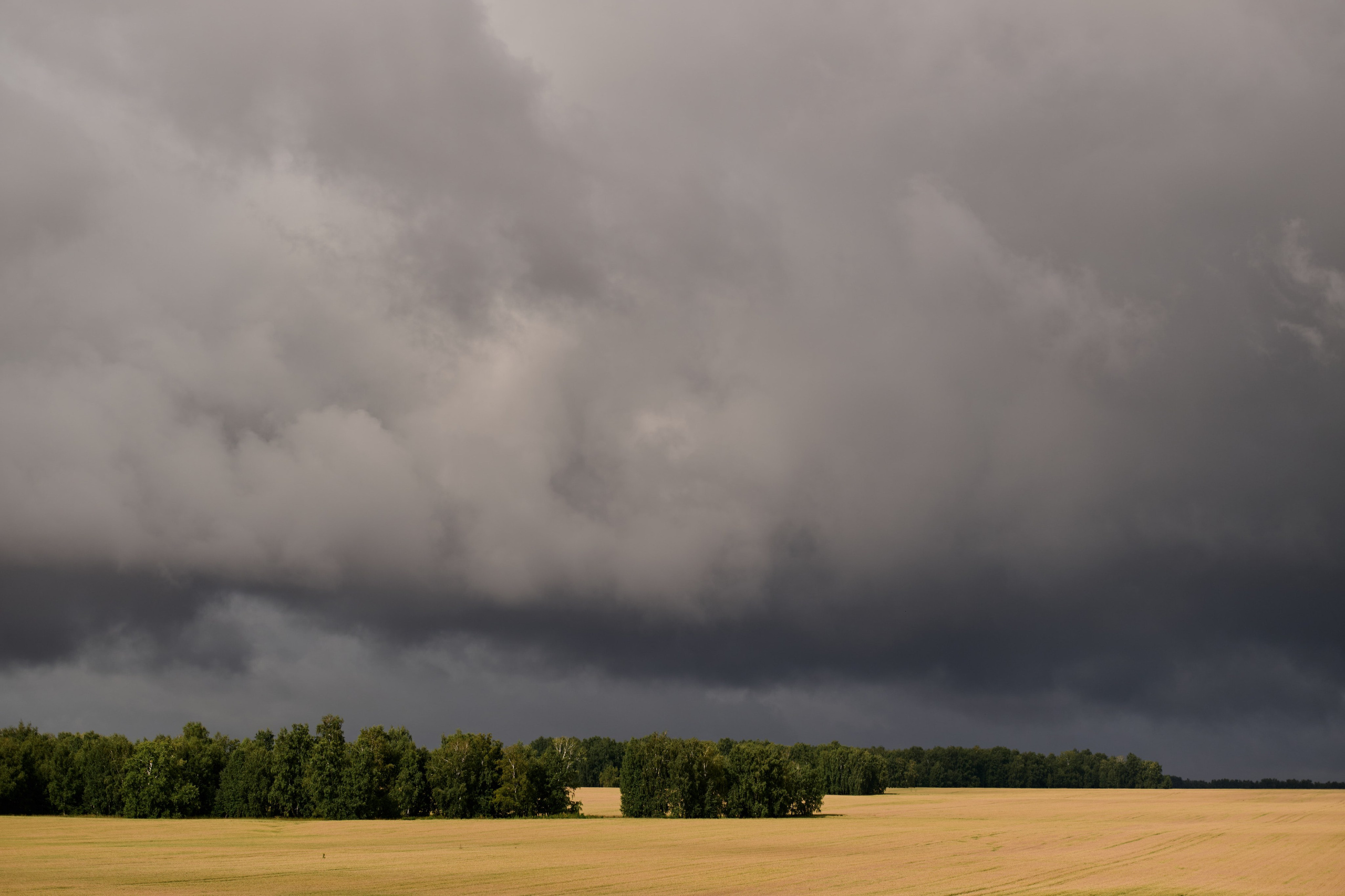 4 этап кубка Ракета 2025 год. Сергей Богомолов. Свадебный и семейный фотограф