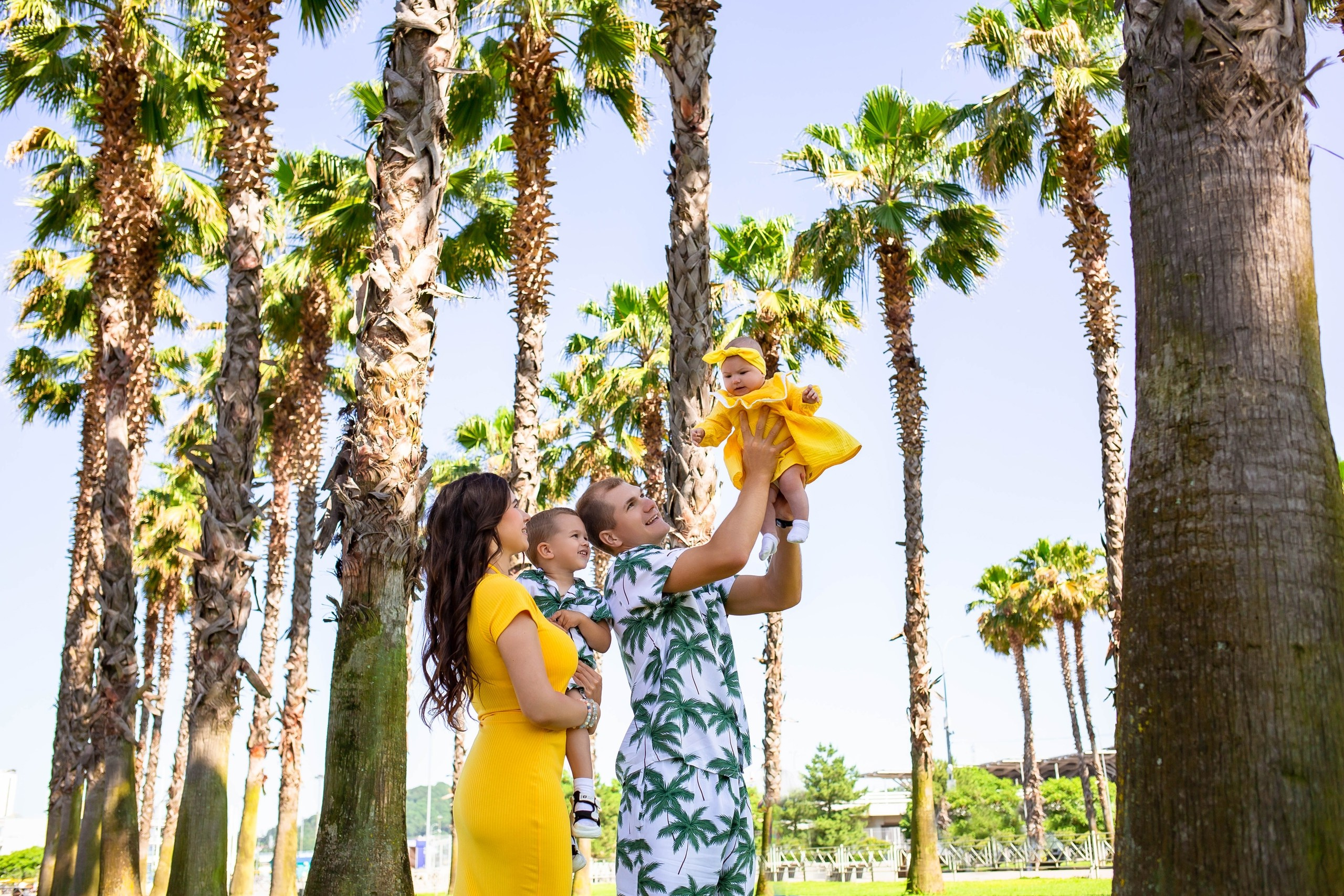 пальмовая аллея 