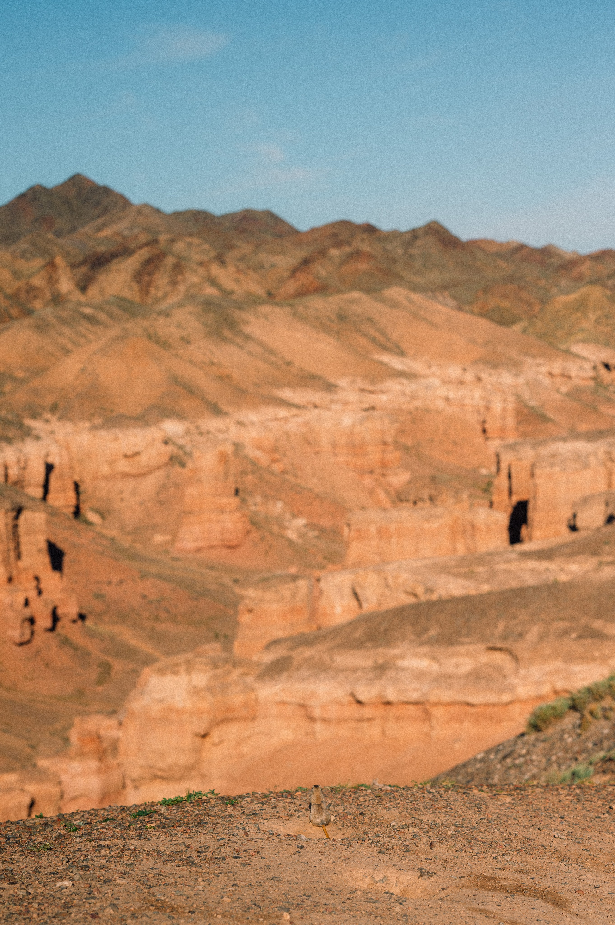Чарын-Кольсай: лето 2024. Фотограф в Алматы — Дарья Фёдорова