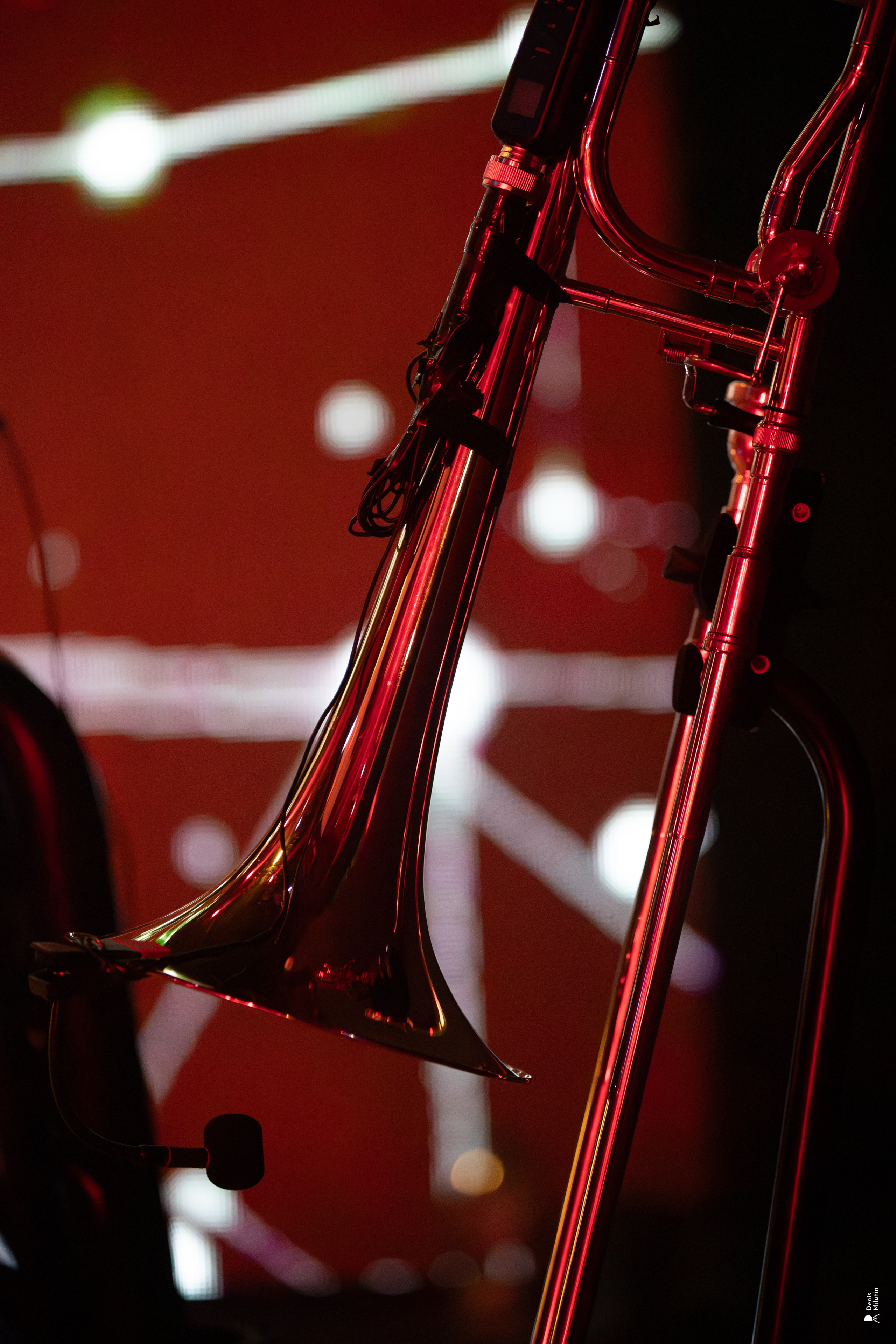 Трибьют группы Ленинград от Keep the brass. Портретный фотограф Денис Милютин