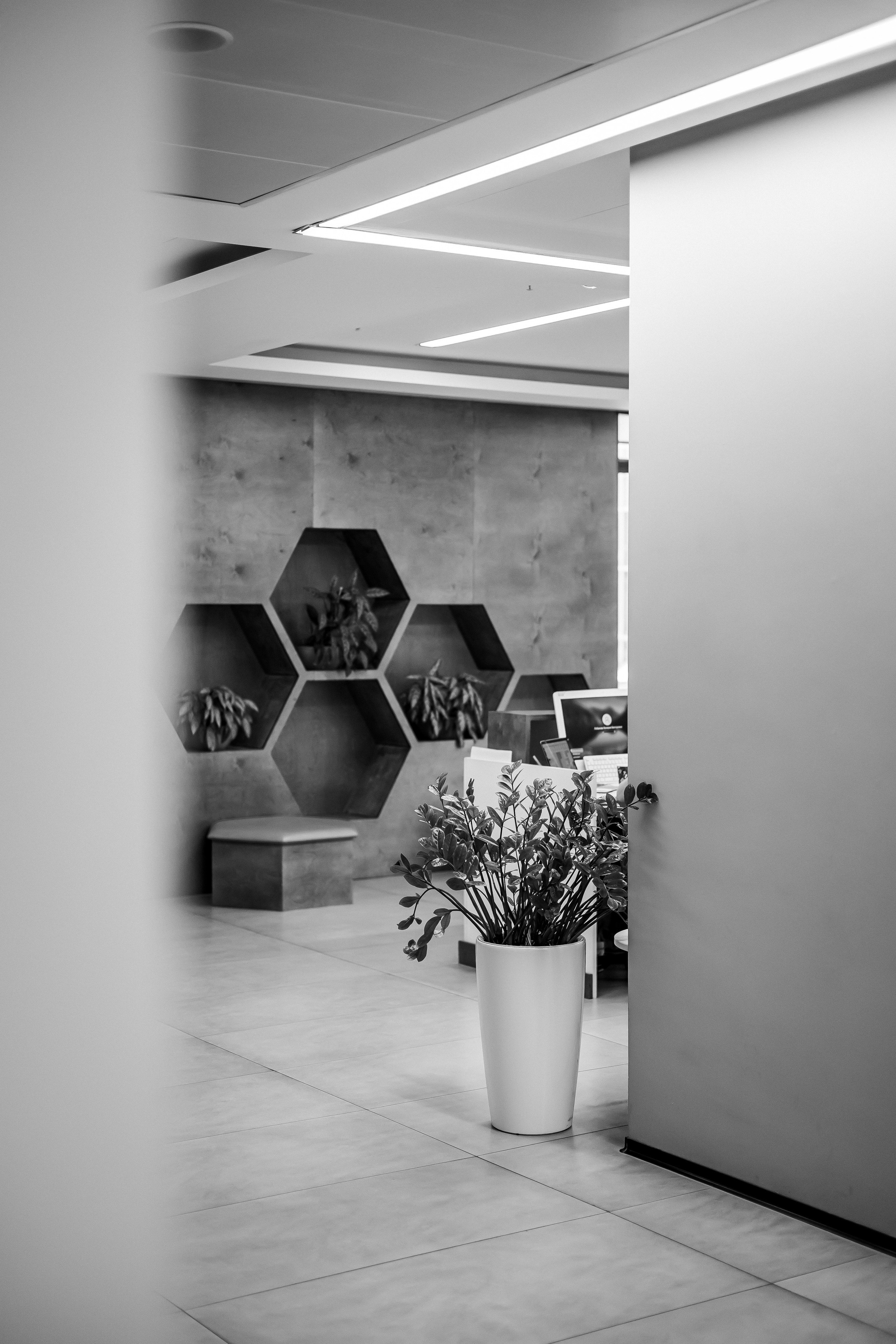 Медклиника широкого профиля. Фотограф в Москве Базанова Дарья