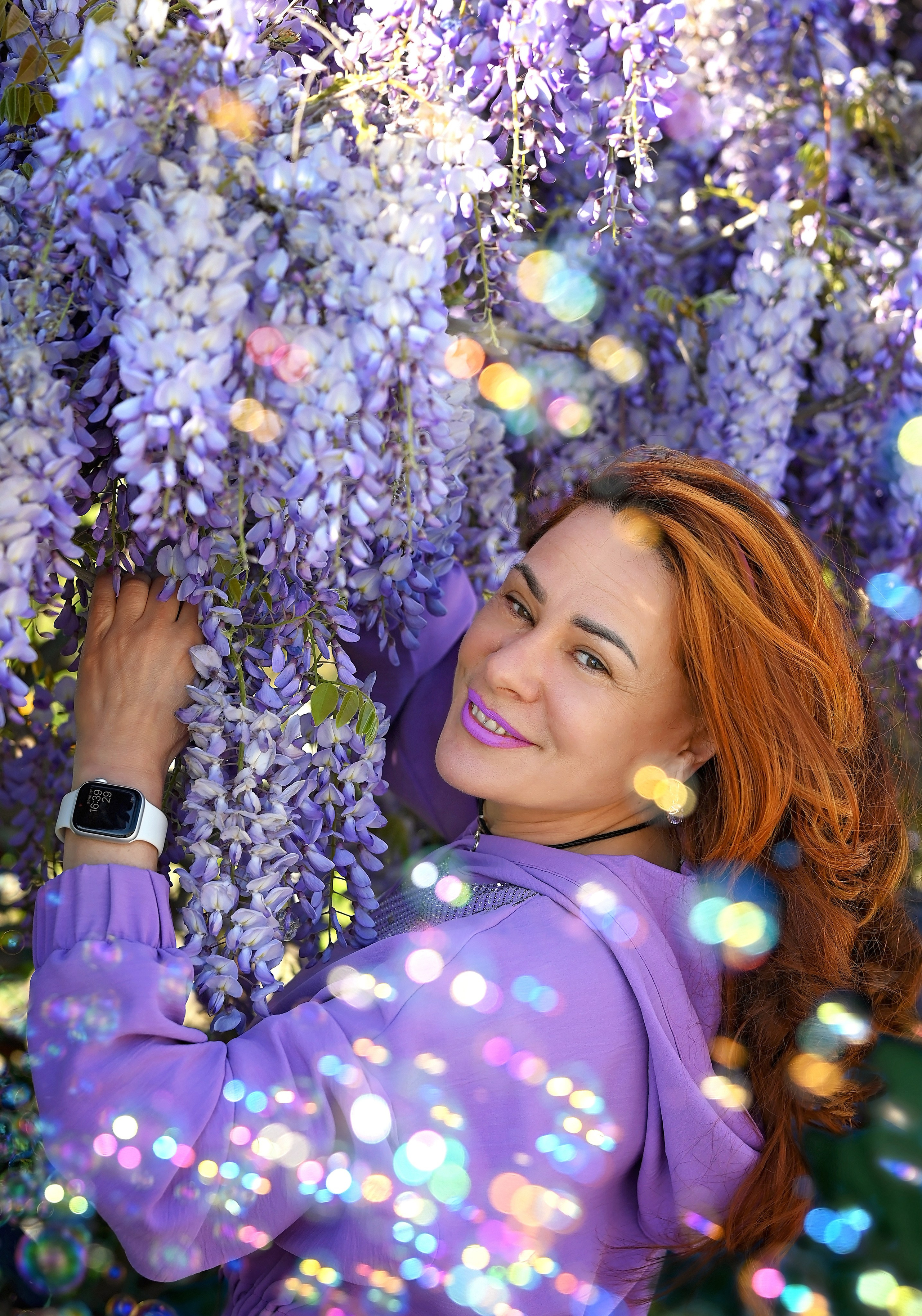 Глициния. Главная