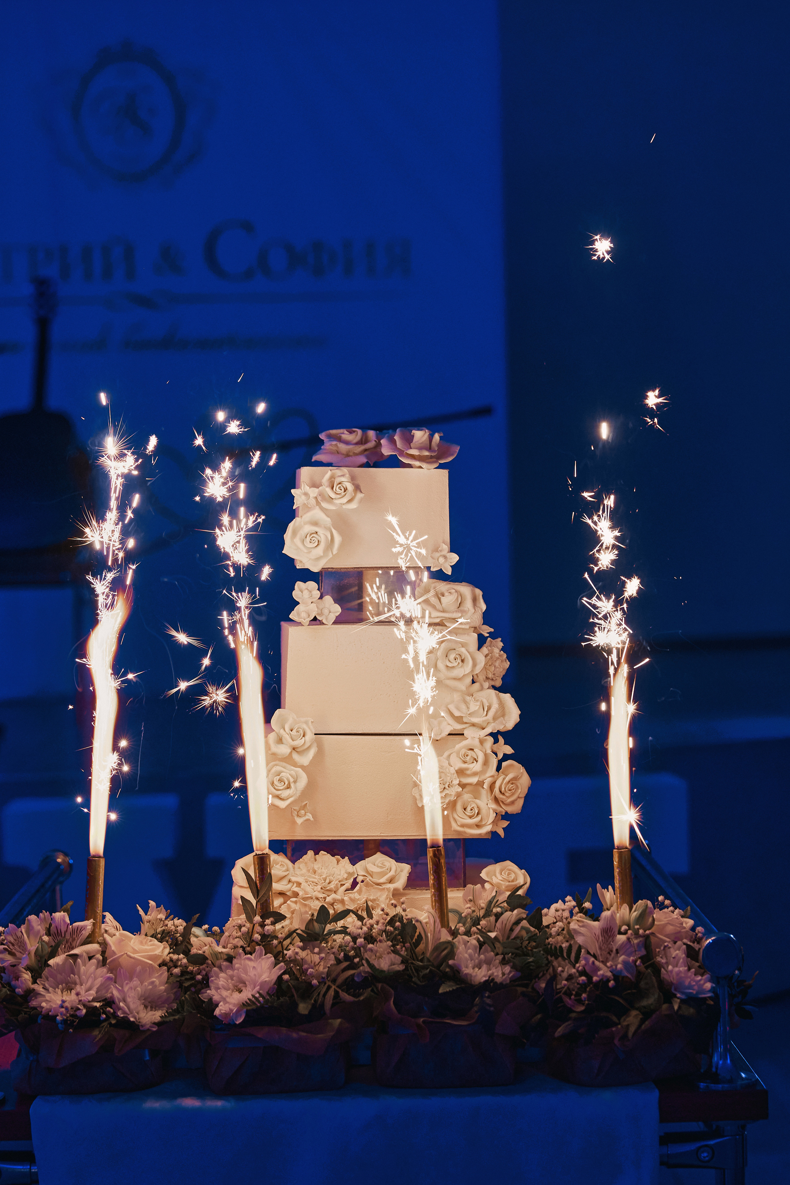 Софья и Дмитрий