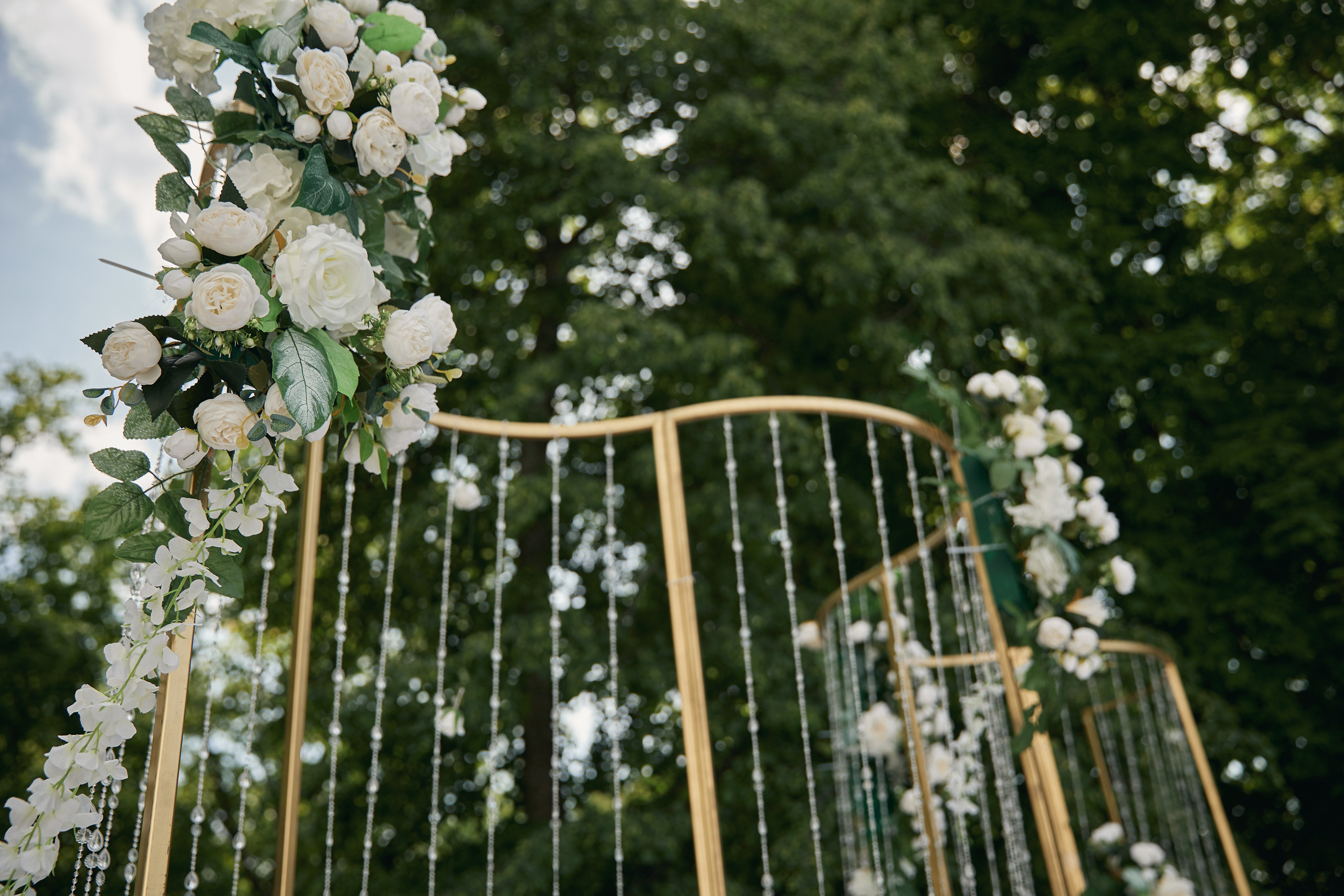 Софья и Дмитрий