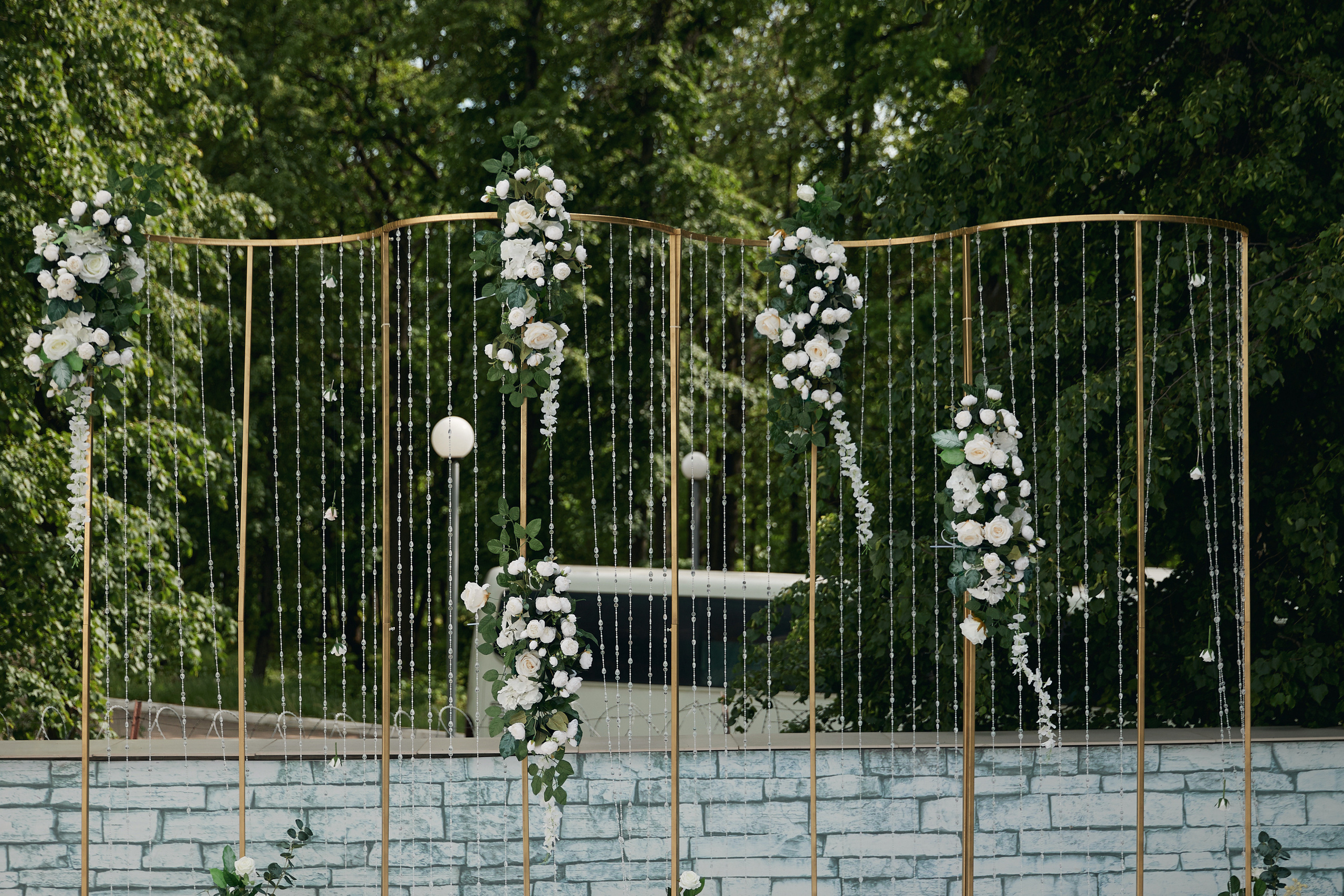 Софья и Дмитрий