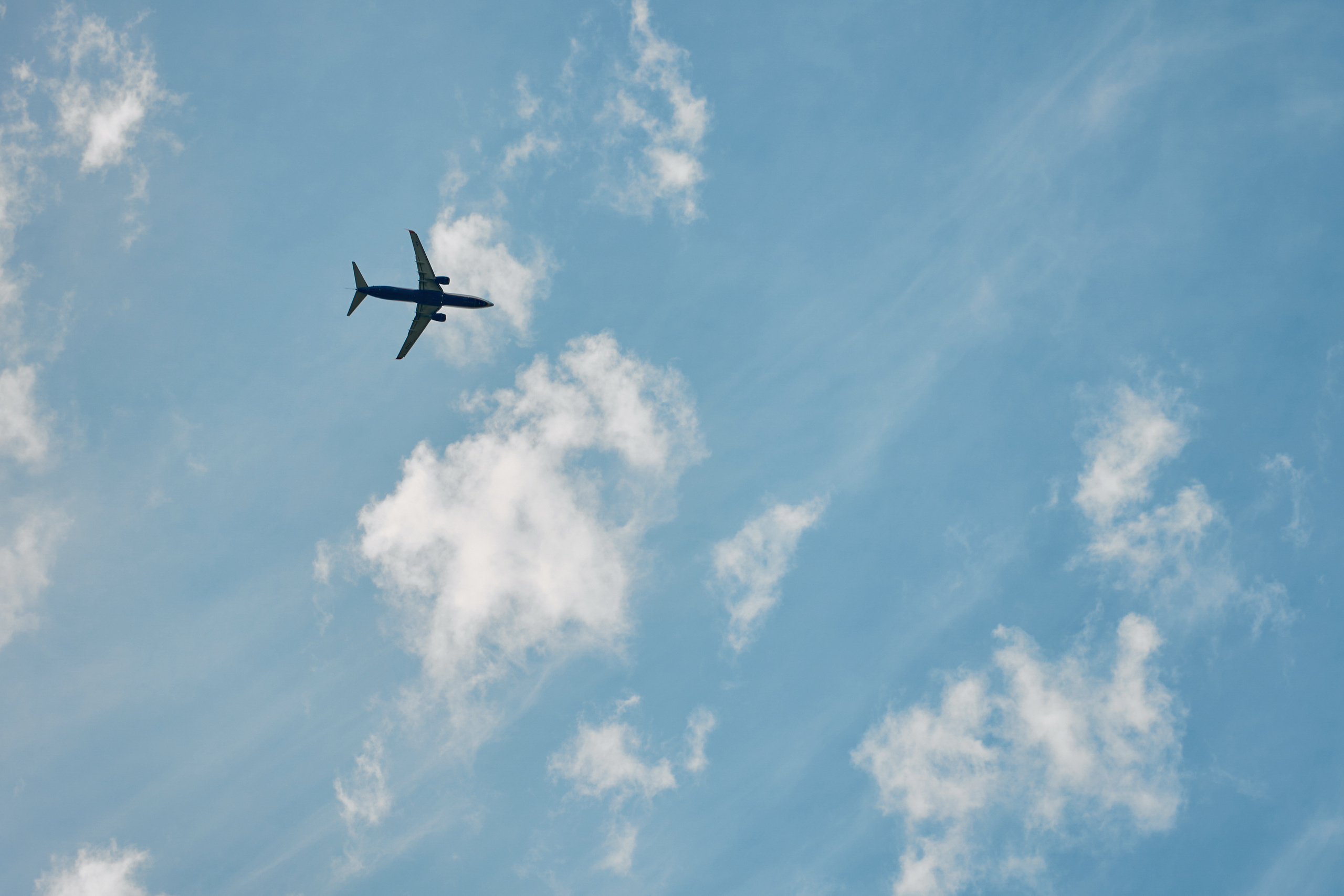 Софья и Дмитрий