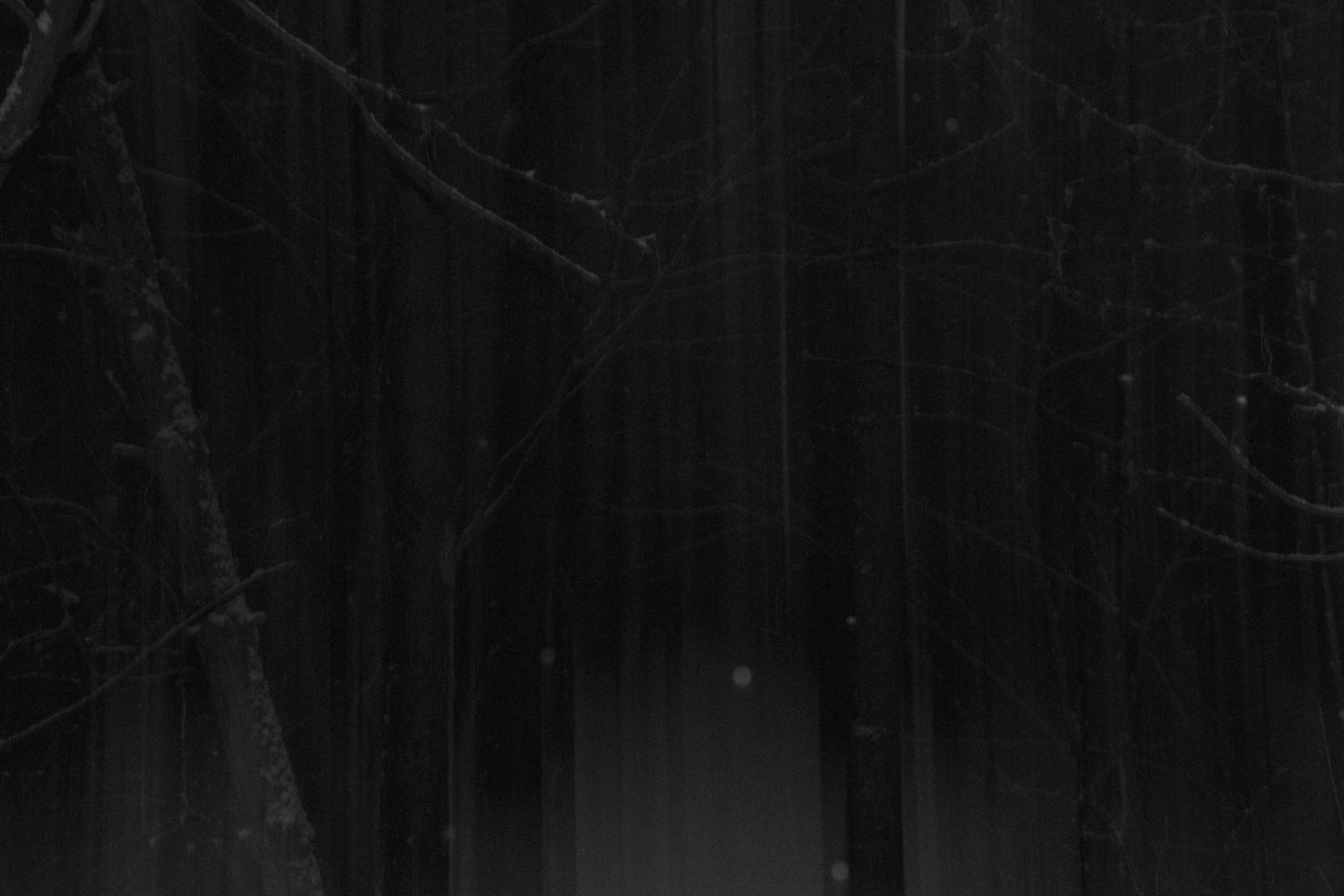 Интимный пейзаж. Олег Романов. Мастер фото по спорту