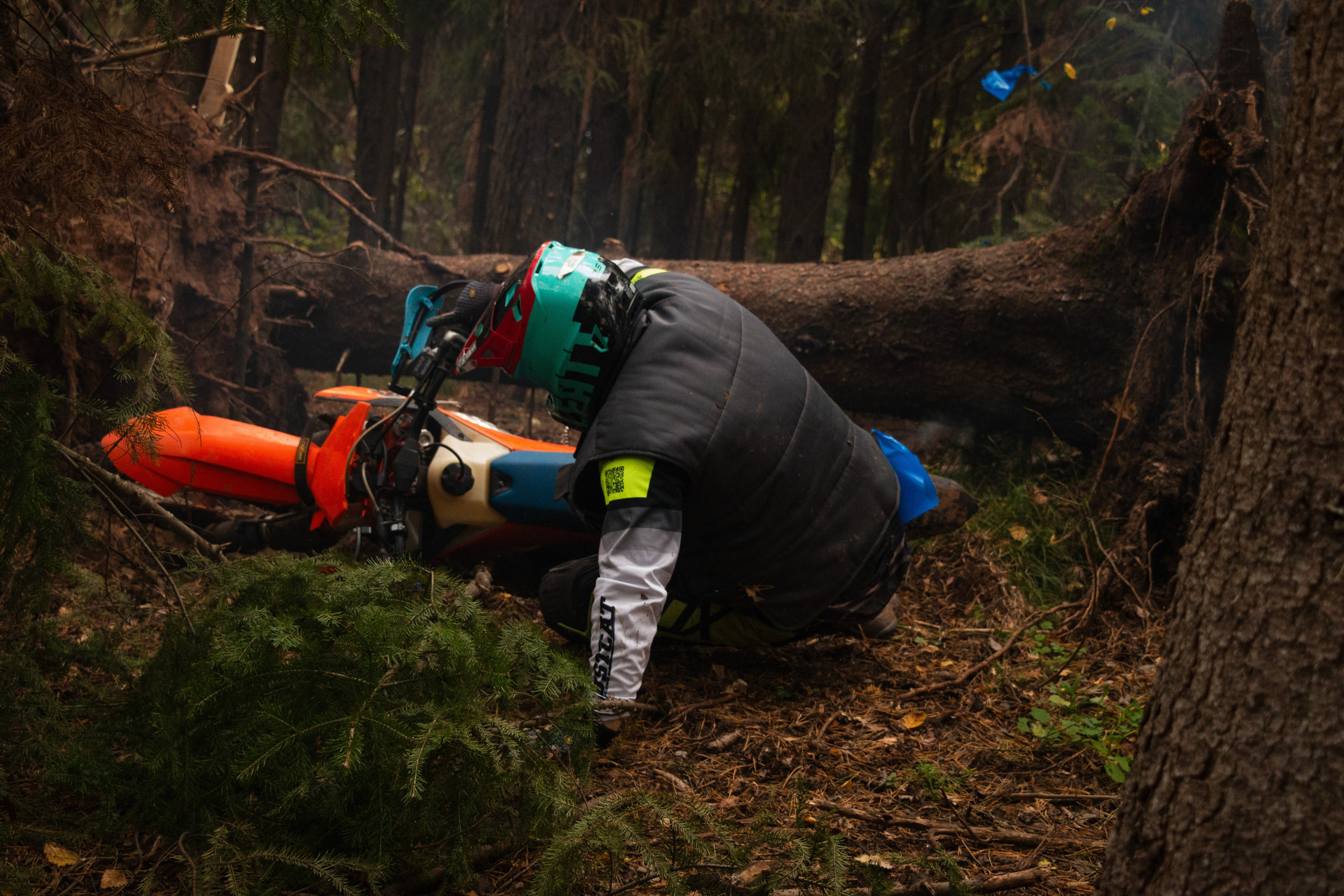 Путь Ижика. Ижевск 2024. Олег Романов. Мастер фото по спорту