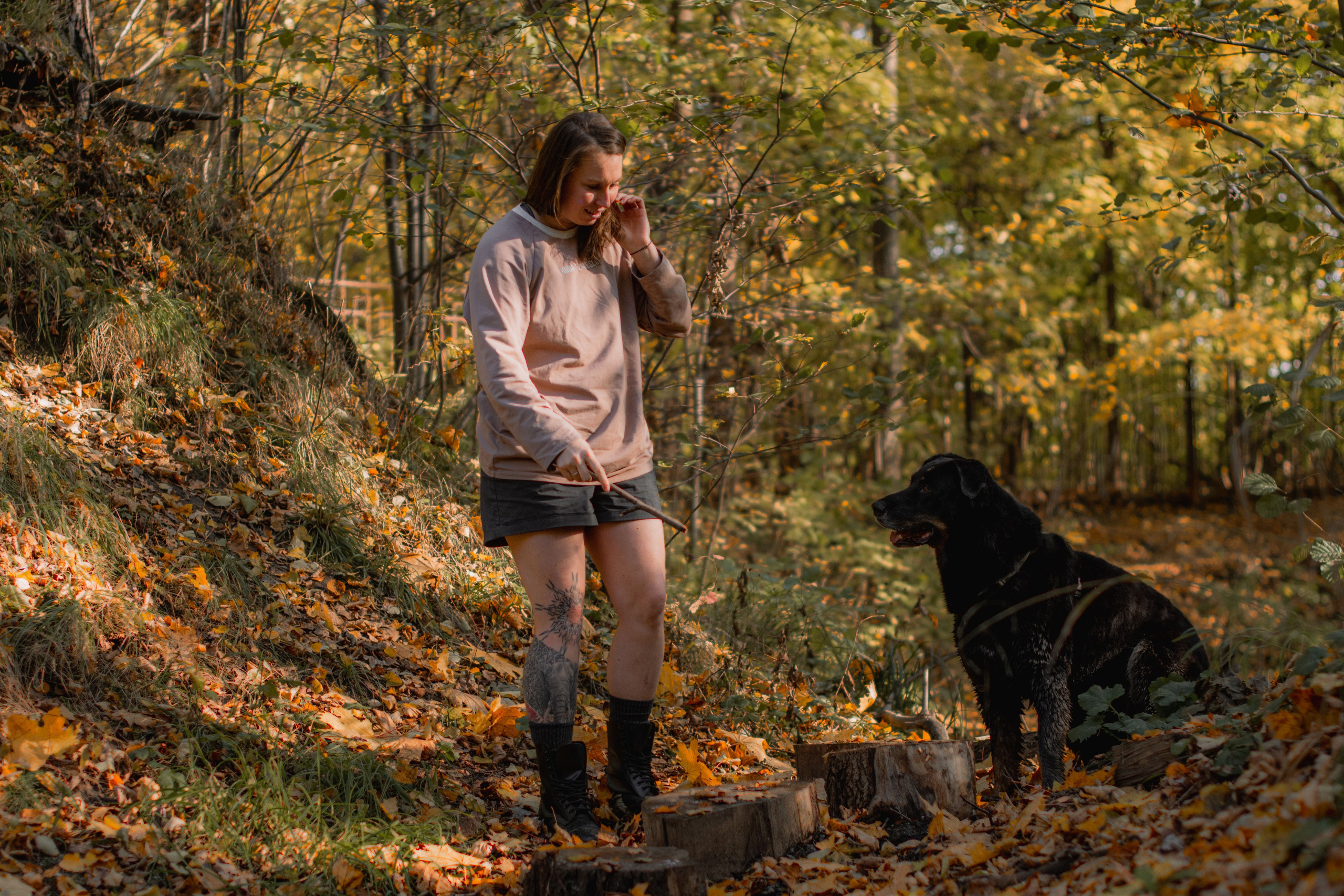Фотосессия с собакой в осеннем парке. Фотограф собак, анималист в Москве Кира Яковлева