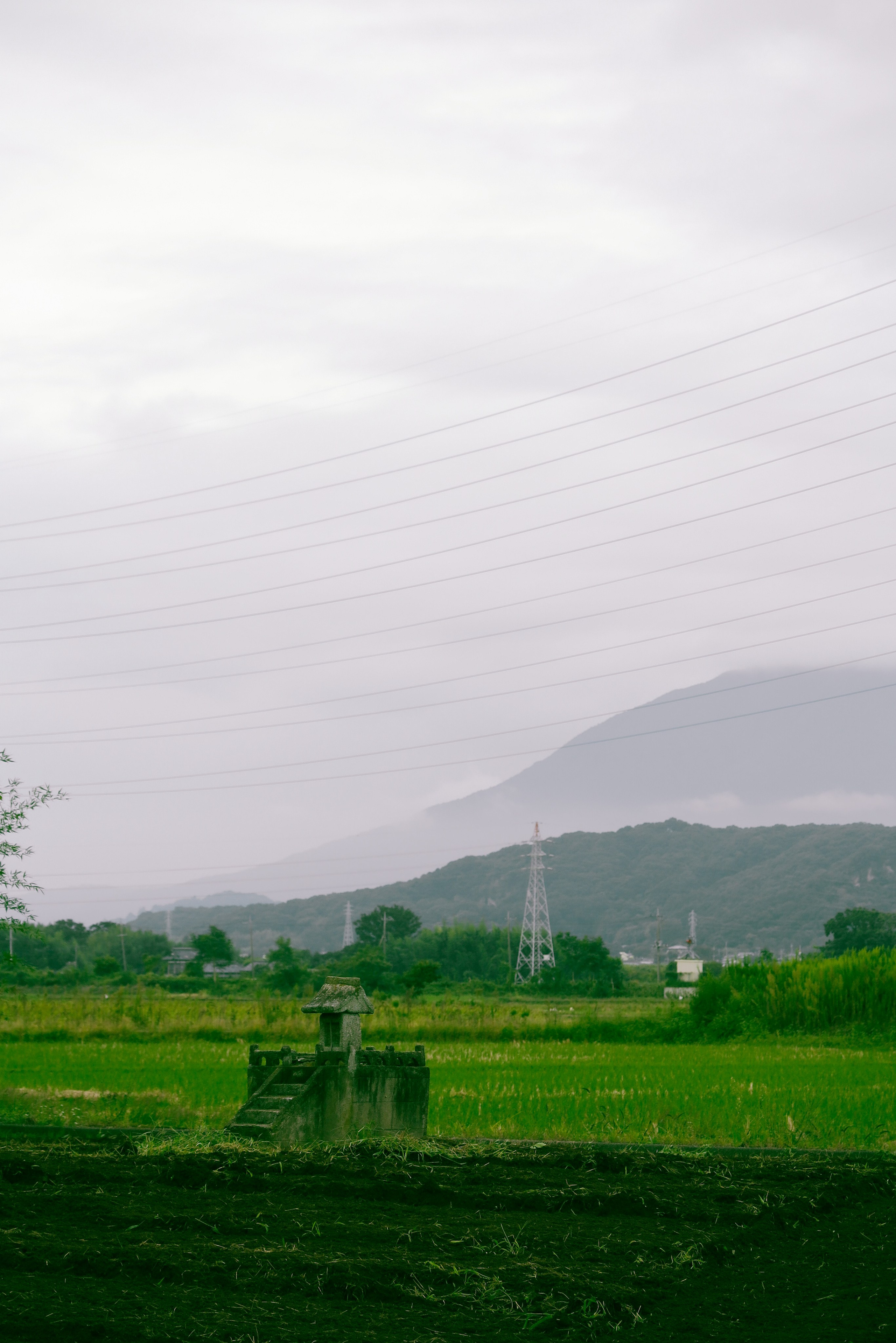 日本. Фотограф Москва