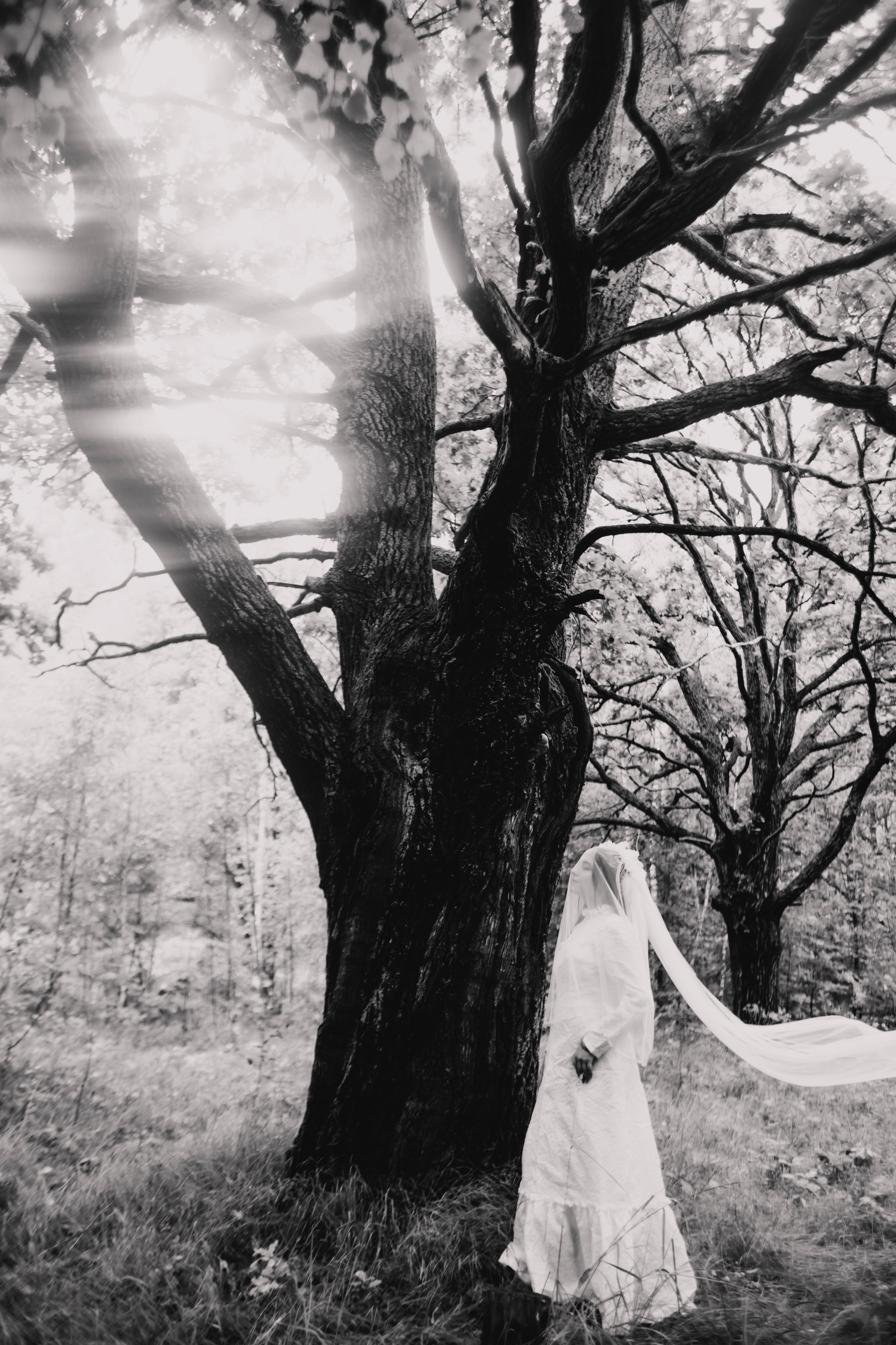 Лесное. Лена. Фотограф в Нижнем Новгороде