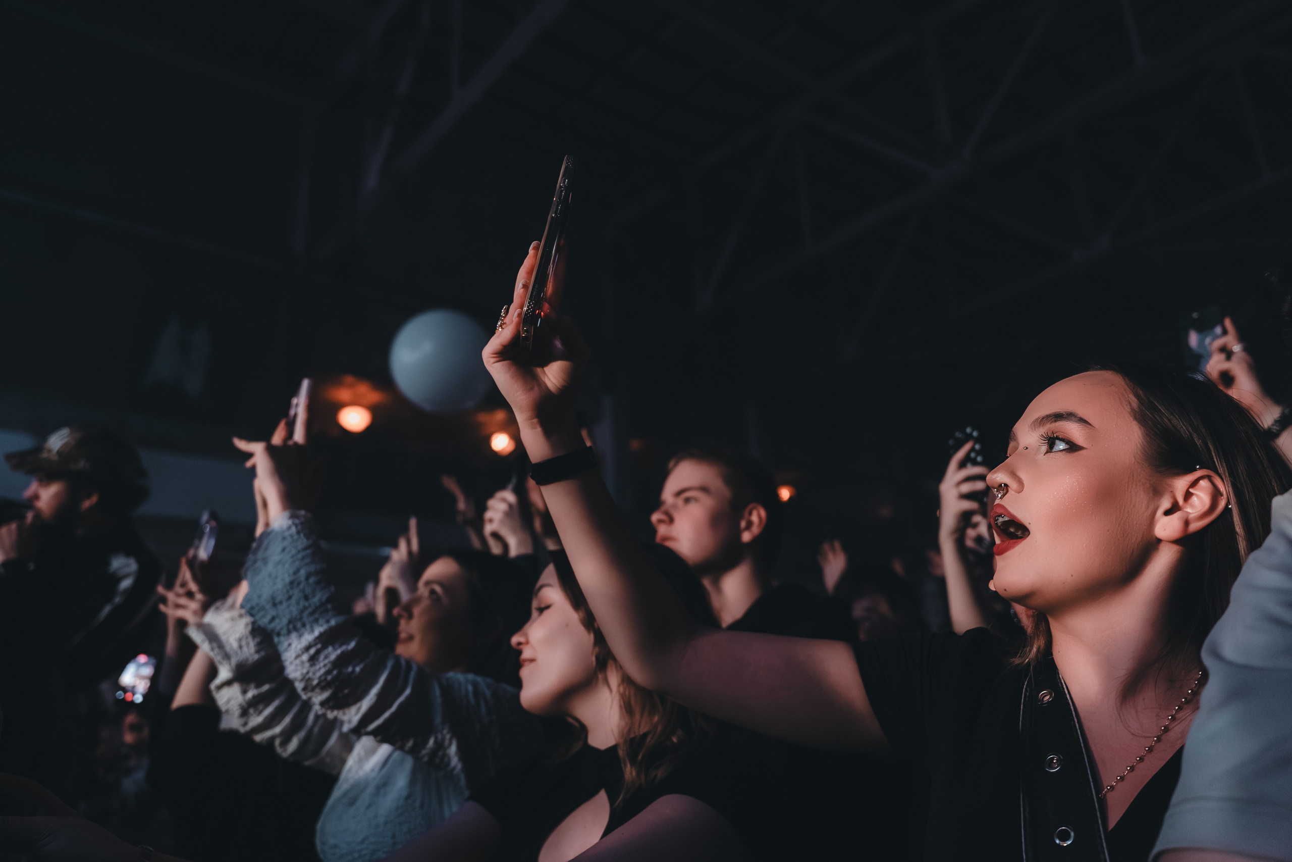 SALUKI. Фотограф Санкт-Петербурга