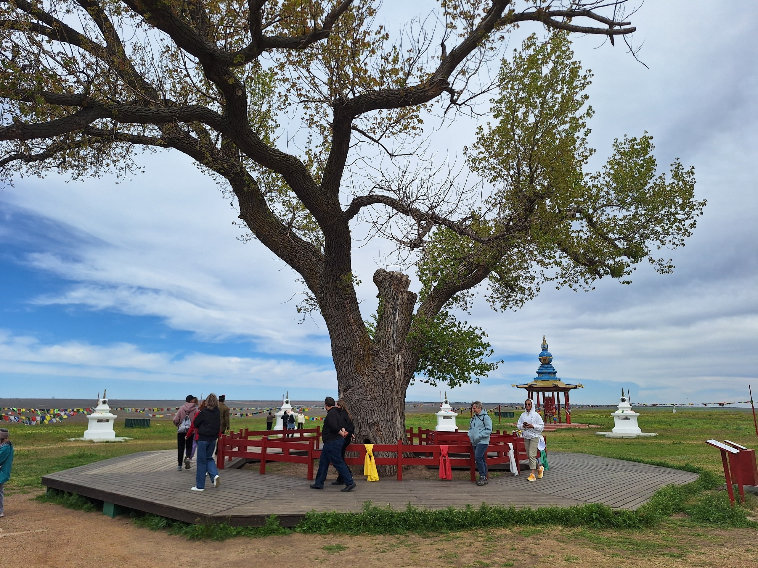 Астрахань и Элиста. Экскурсионная поездка | 30.04-04.05.2025. Галерея Фантим