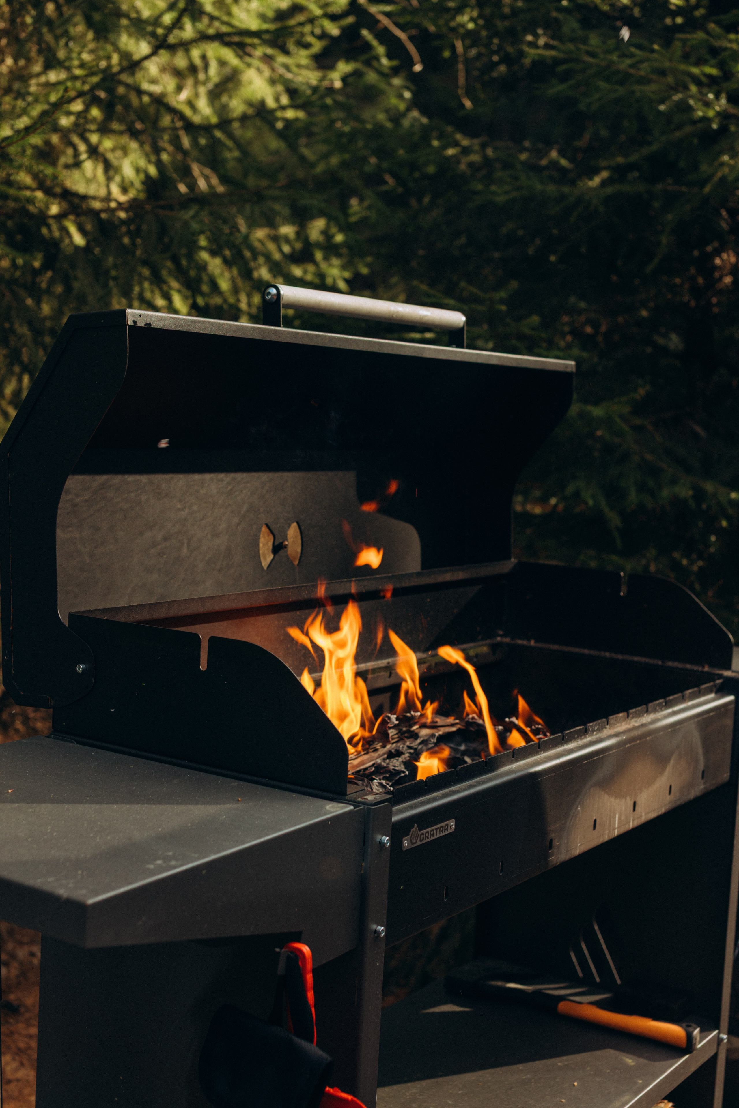 Filin. Главная