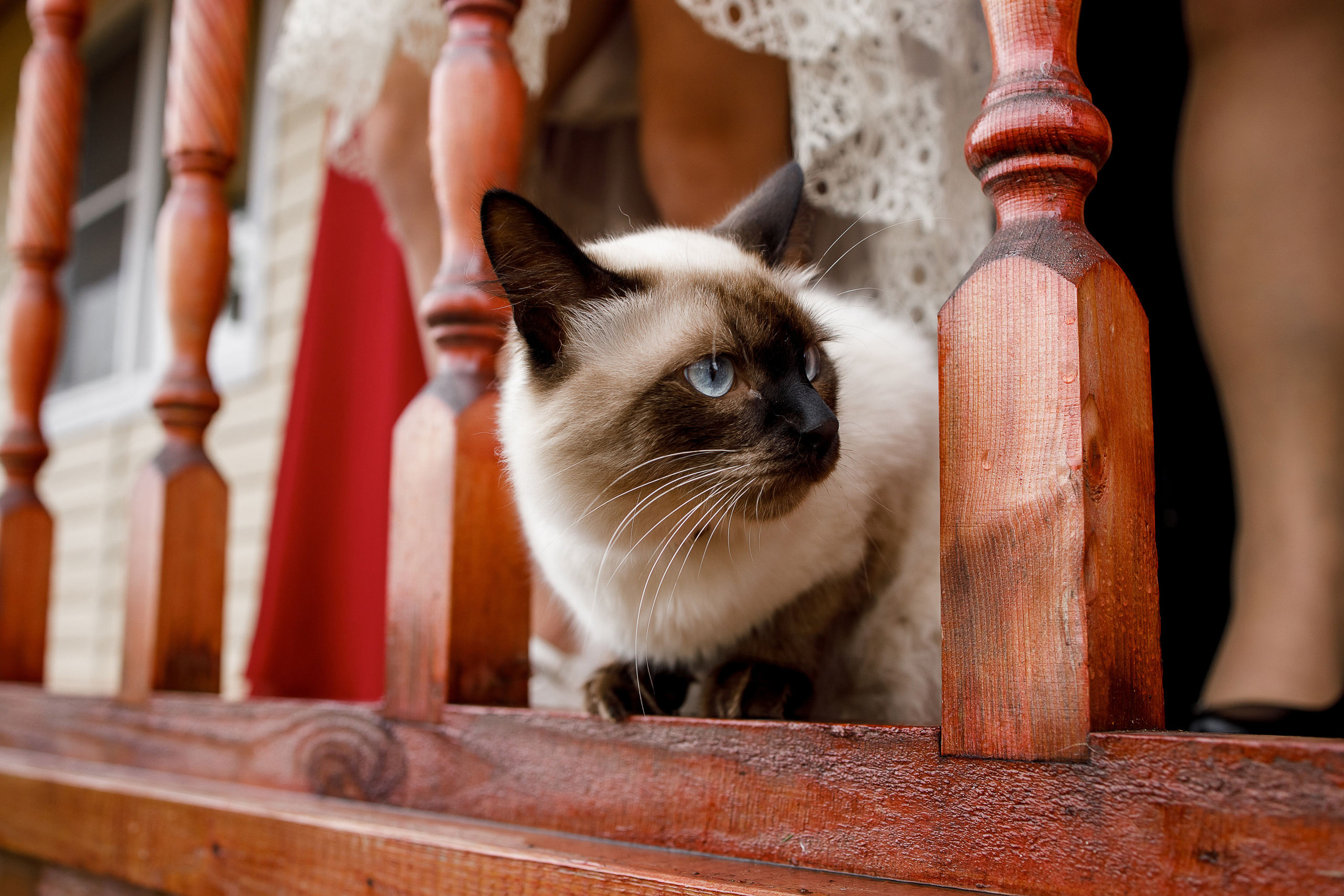Традиционная свадебная церемония и романтическая фотосессия в парке. Олег Сверчков | Свадебный фотограф Вологда