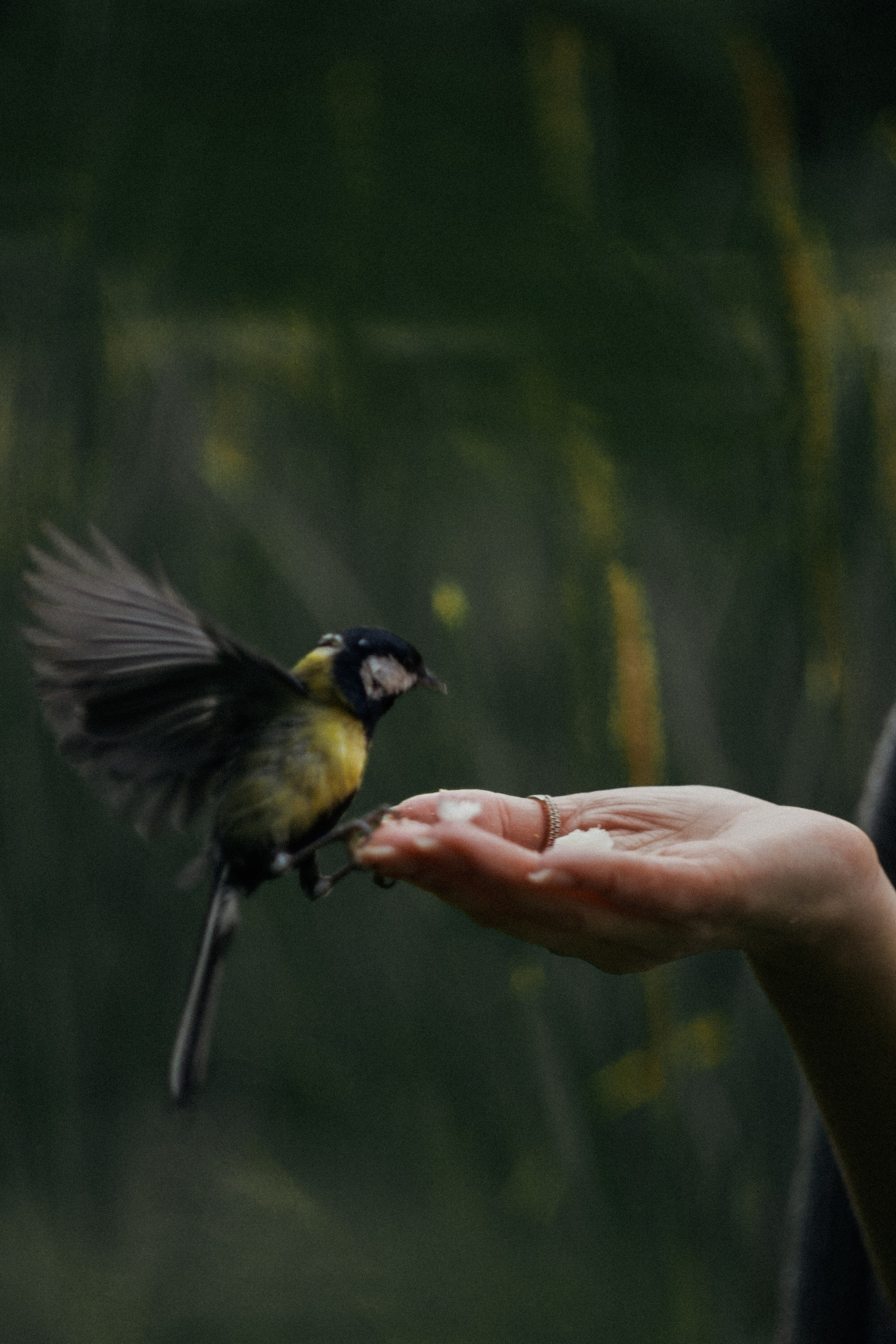 Женский портрет | Прогулки. Фотограф, Москва, Lifestyle фотография