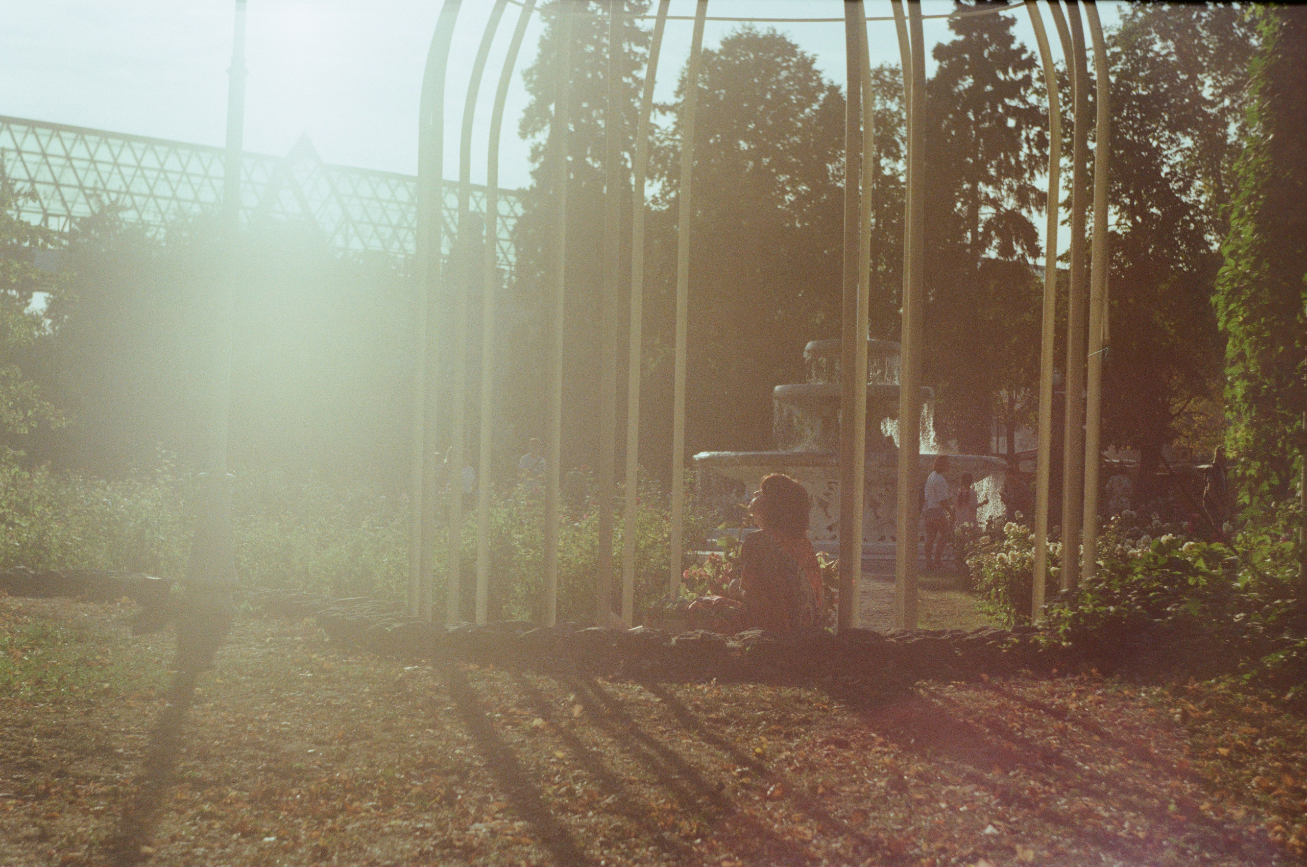 Плёночные эксперименты. Уголок фототворчества Никиты Усачева