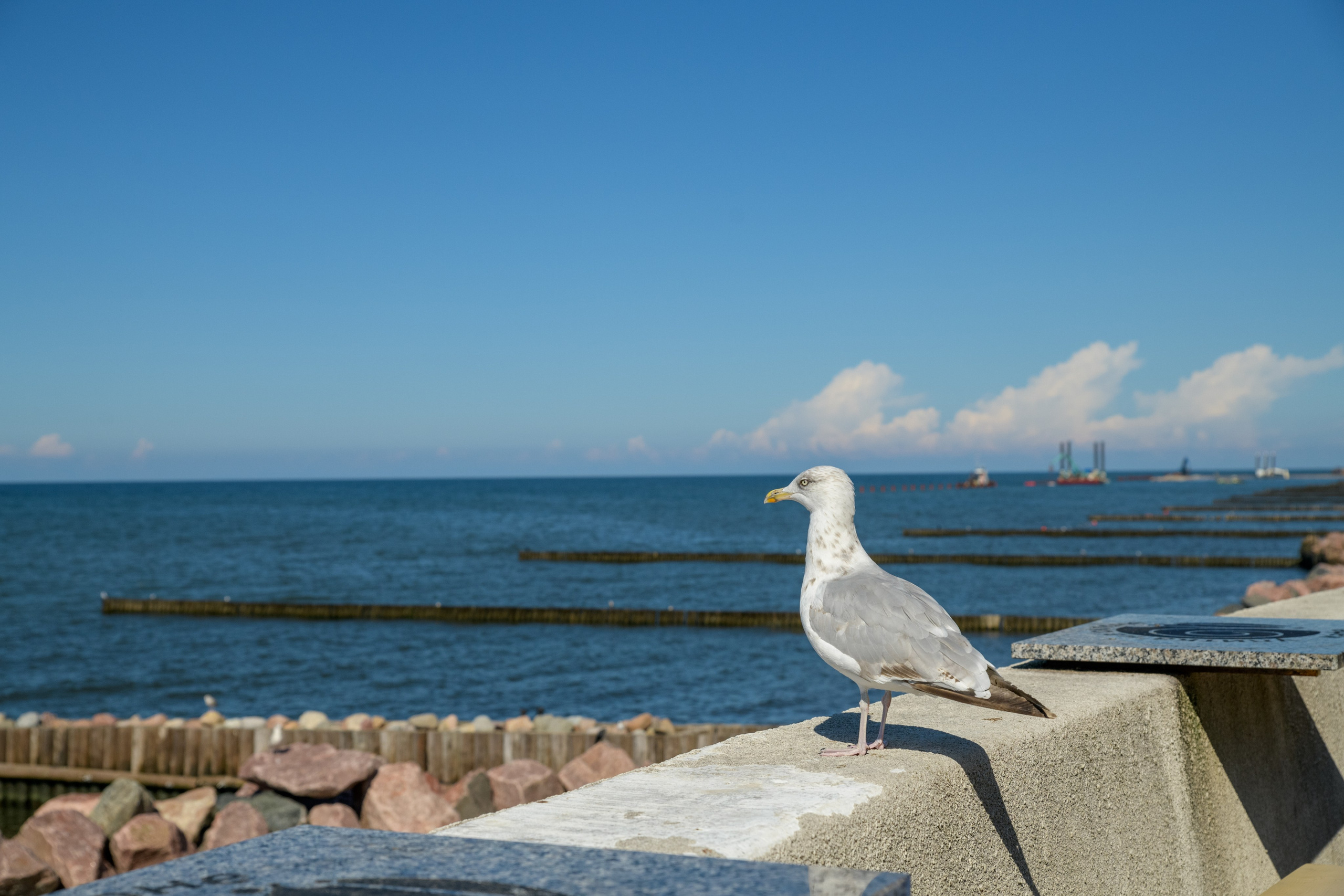 Путешествия. Фотограф и ретушер Самохвалова Ольга