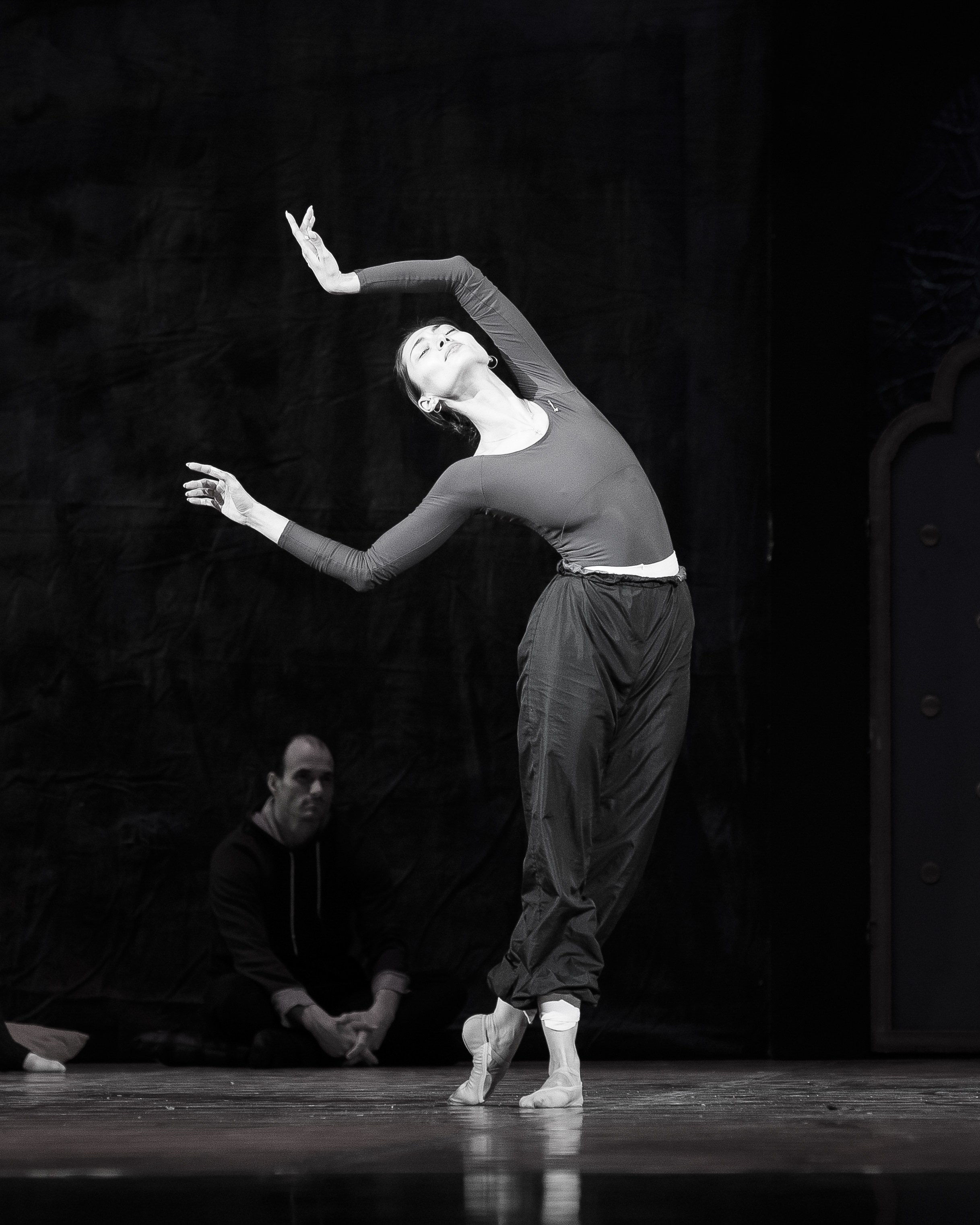 Автографы и имиджи Кремлёвский Дворец — Проект Андриса Лиепа