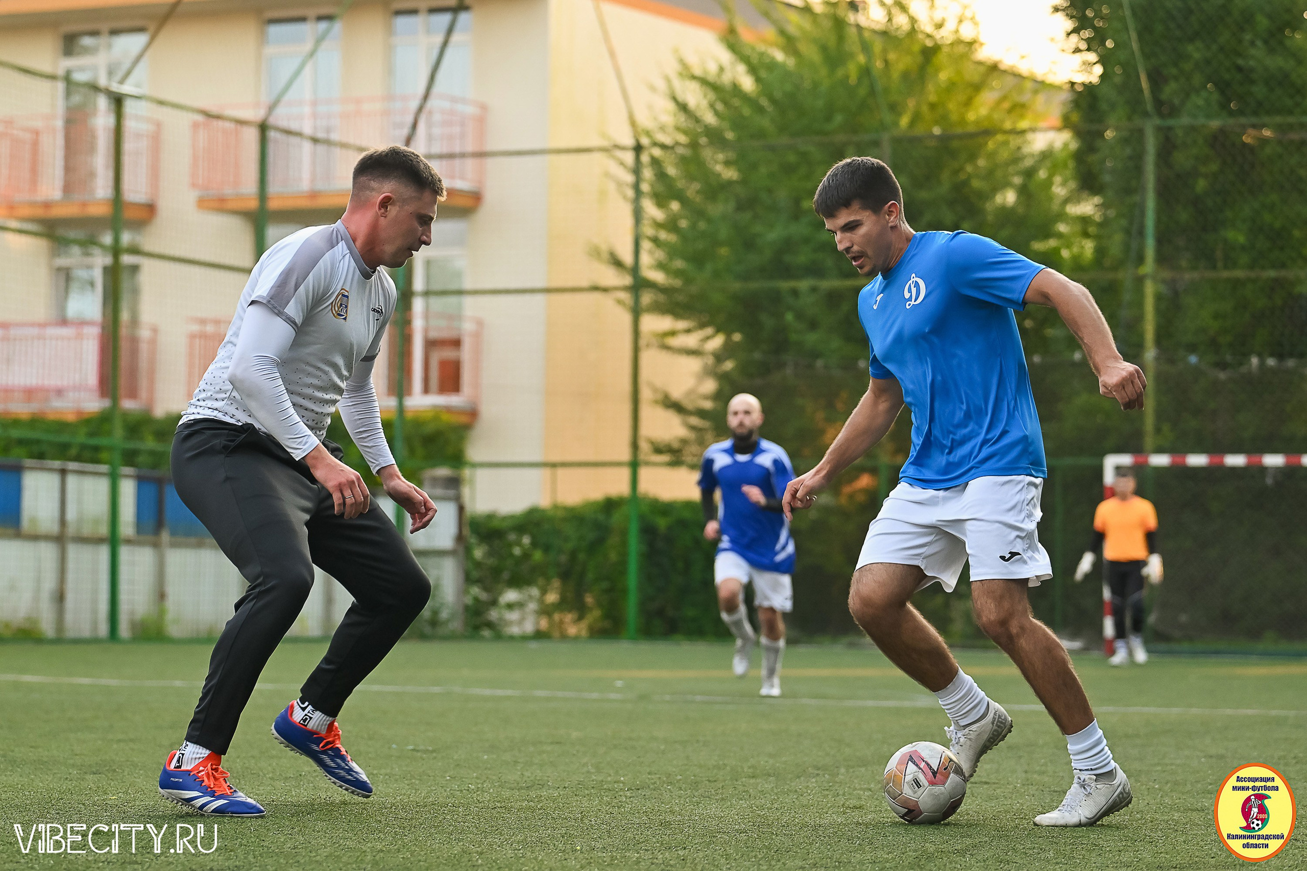 ИГРЫ ПЛЕЙ-ОФФ ПЕРВОГО ДИВИЗИОНА МИНИ-ФУТБОЛЬНОЙ ЛИГИ. VIBECITY.RU Вайб Сити Ру Фоторепортажи Фотоотчеты Калининград