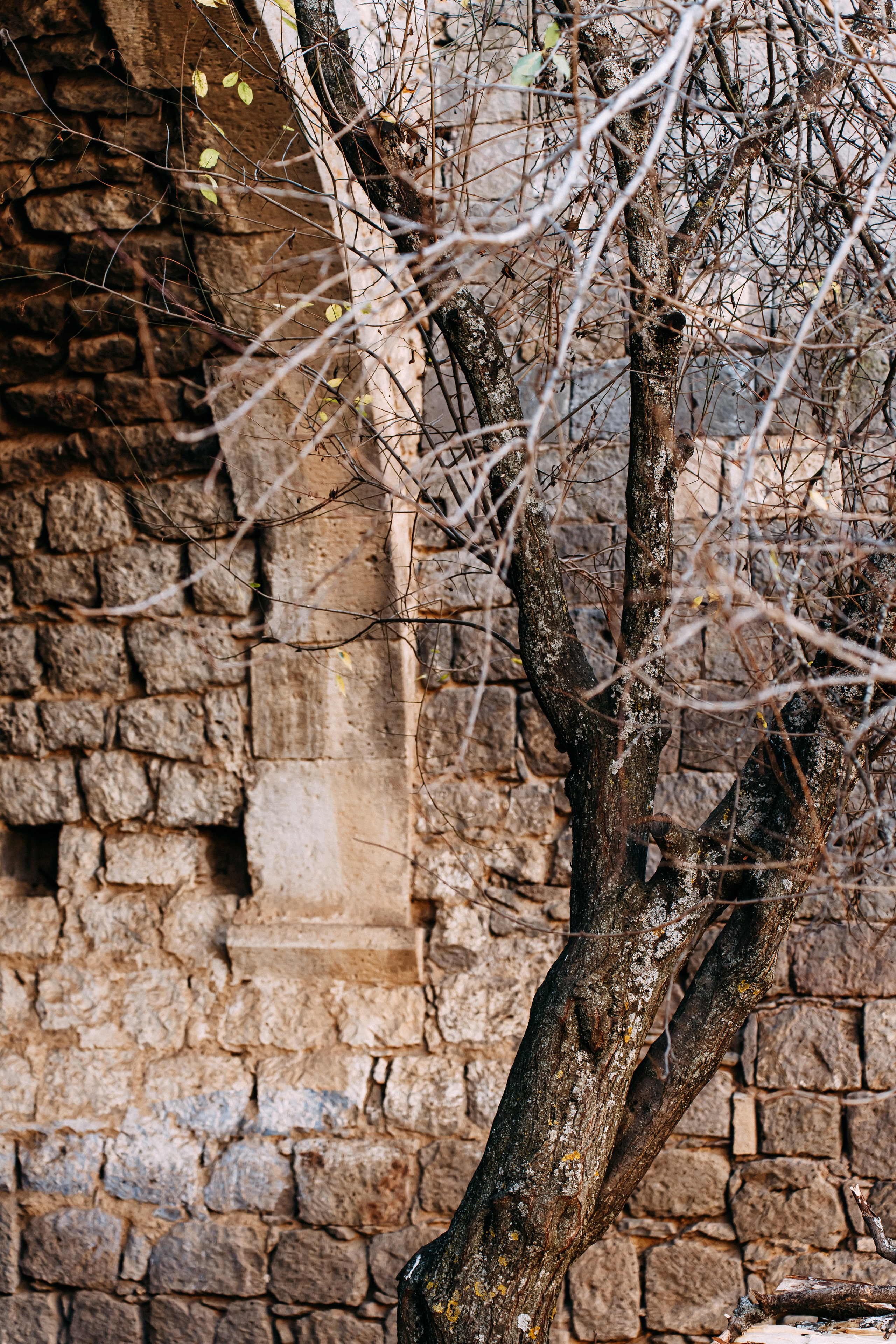 Армения. Фотосъемка, свадебная фотосъемка, Москва, Нижний Новгород