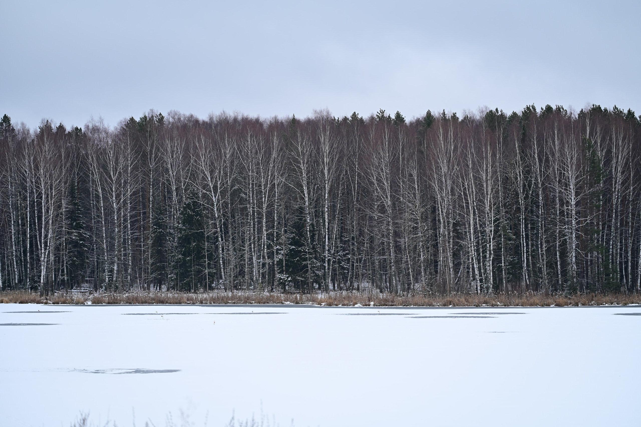 Природа. Максим Егоров, г. Ижевск. Репортажная, предметная съёмка и фуд-фотография