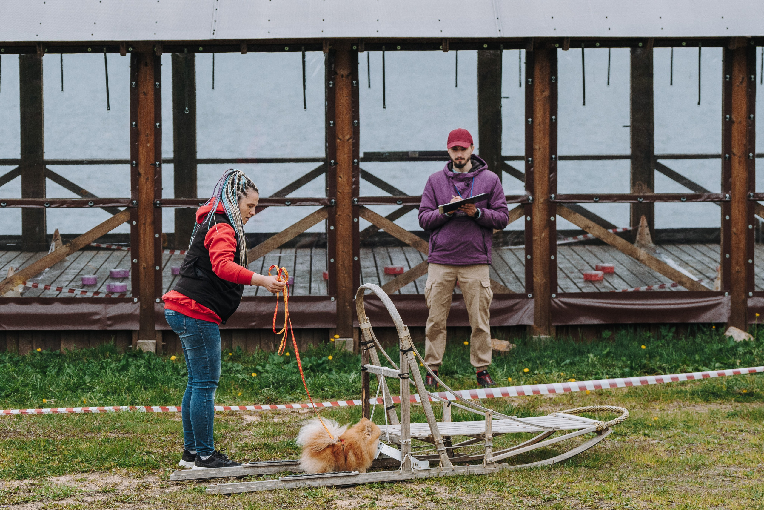 Соревнования по ноузворку в Лосево. Фотограф анималист в Спб недорого Олеся Майорова
