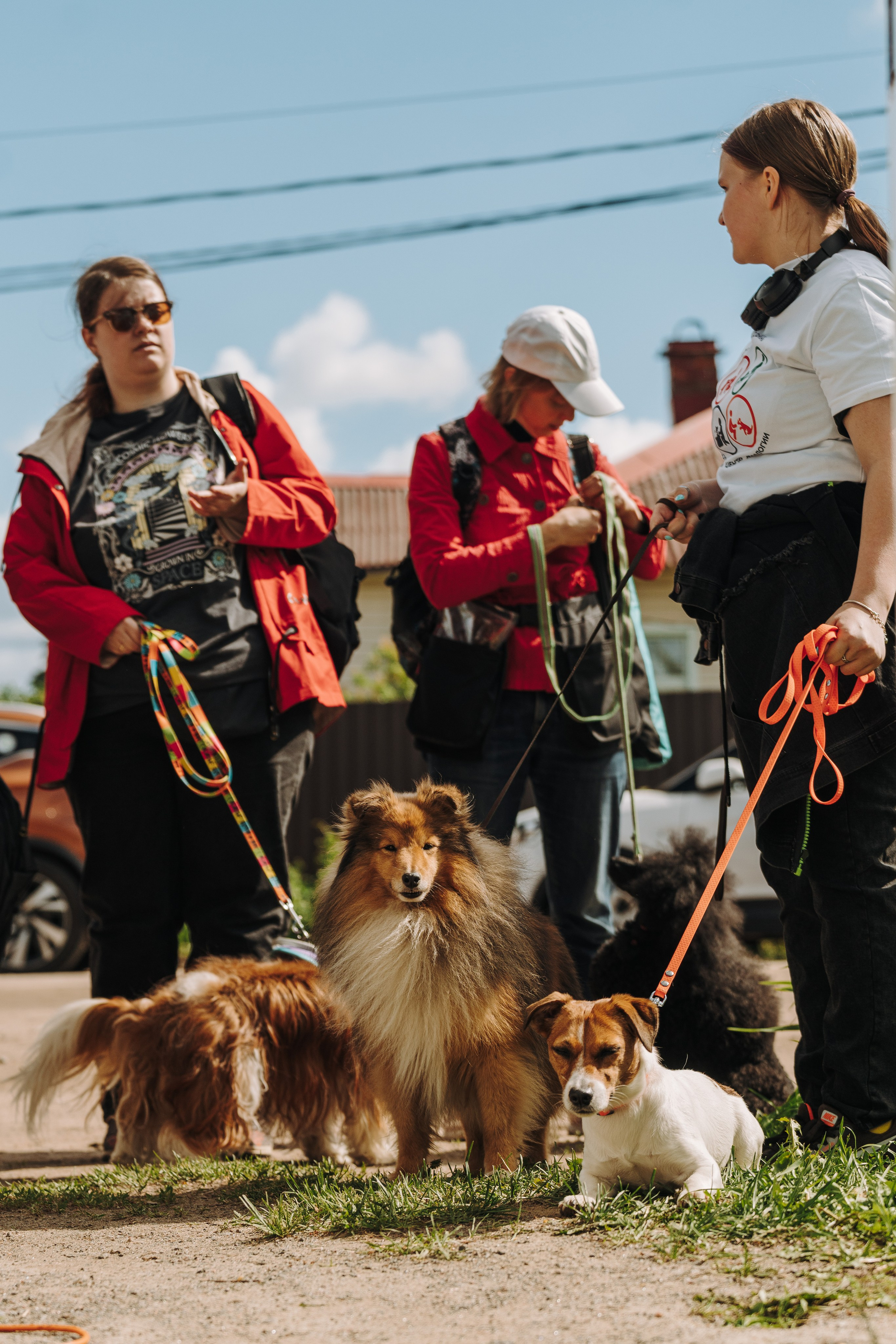 Соревнования по ноузворку. Фотограф анималист в Спб недорого Олеся Майорова