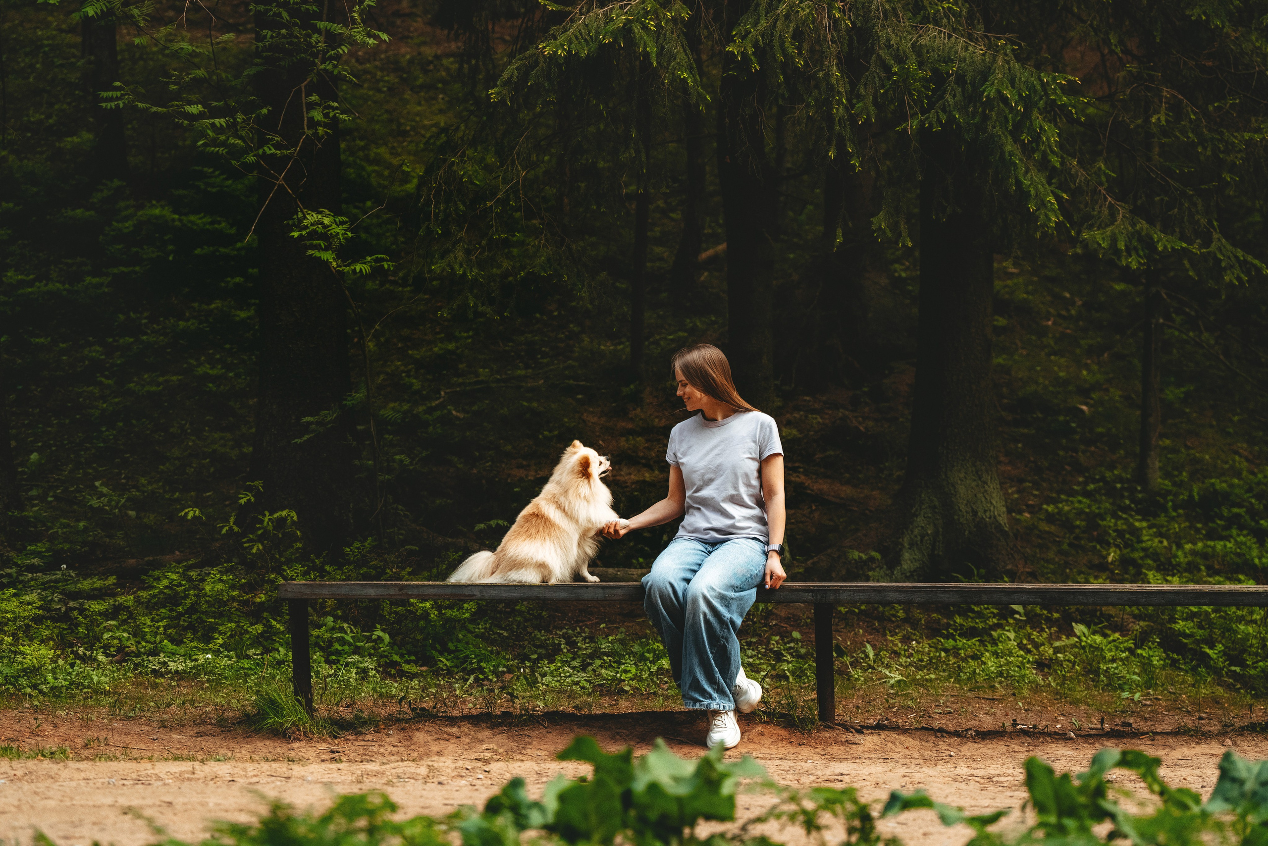 Фотосессия с собачкой в лесу. Фотограф анималист в Спб недорого Олеся Майорова