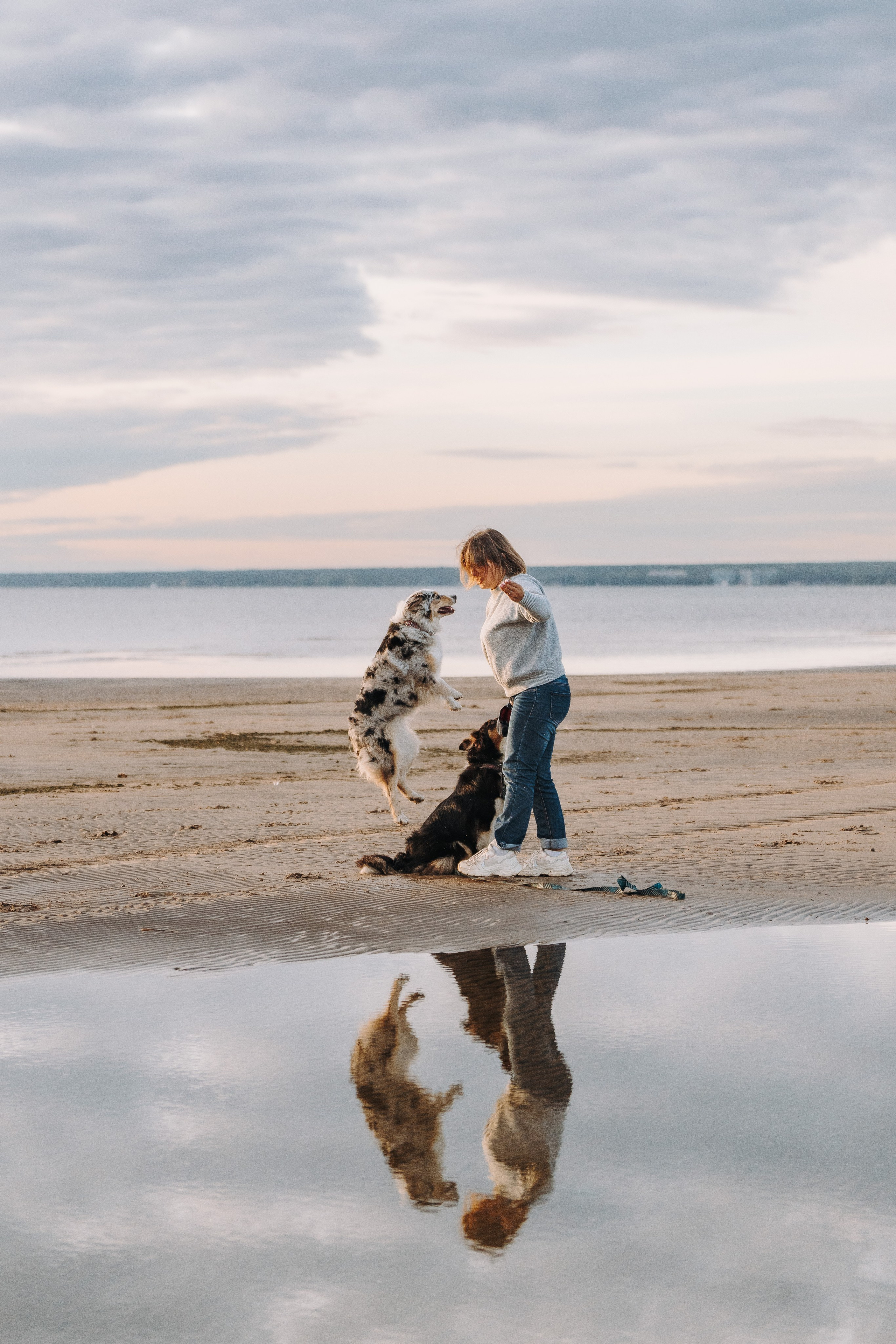Фотограф анималист в Спб. Фотограф анималист в Спб недорого Олеся Майорова