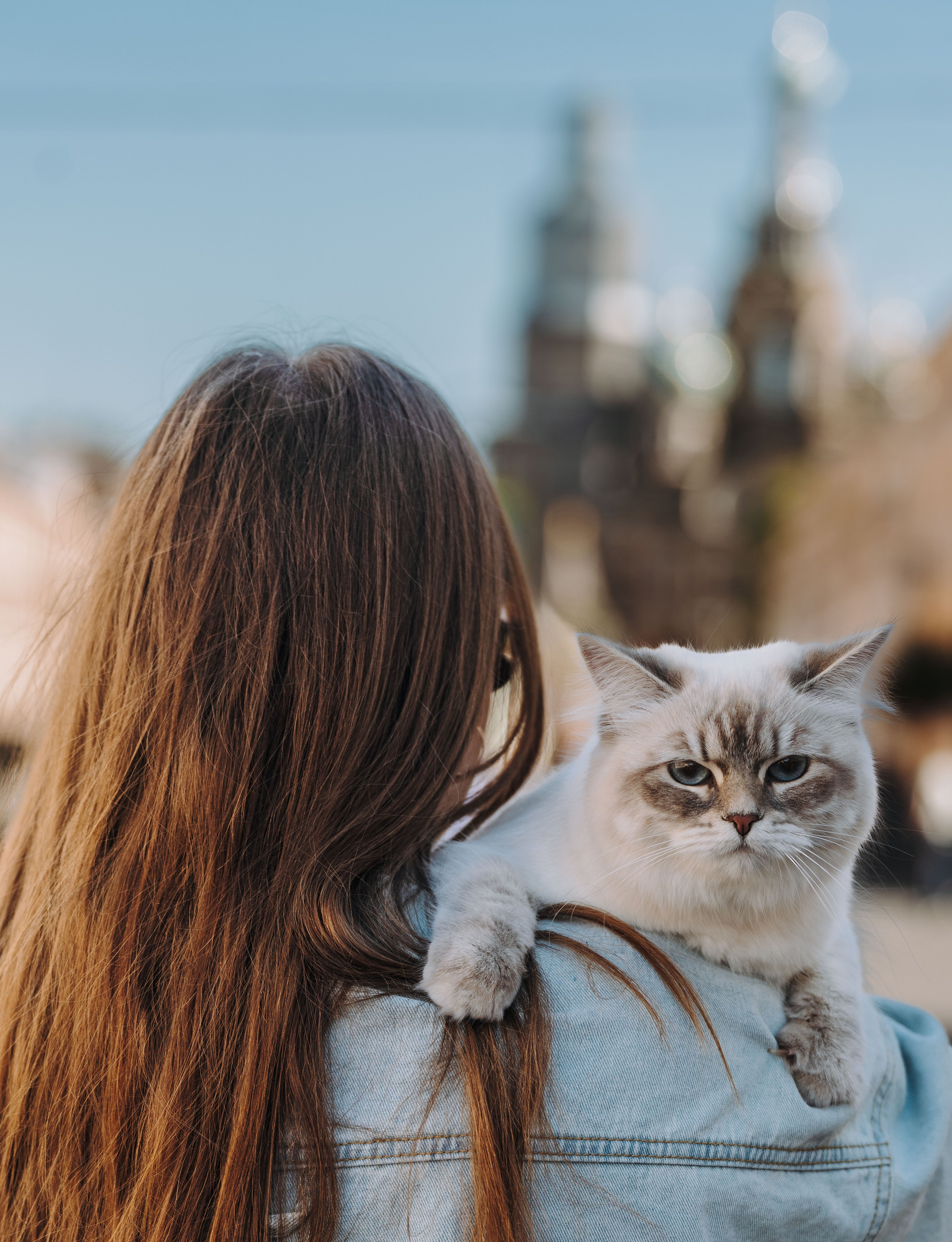 Сильвия, Полина и Никита. Фотограф анималист в Спб недорого Олеся Майорова