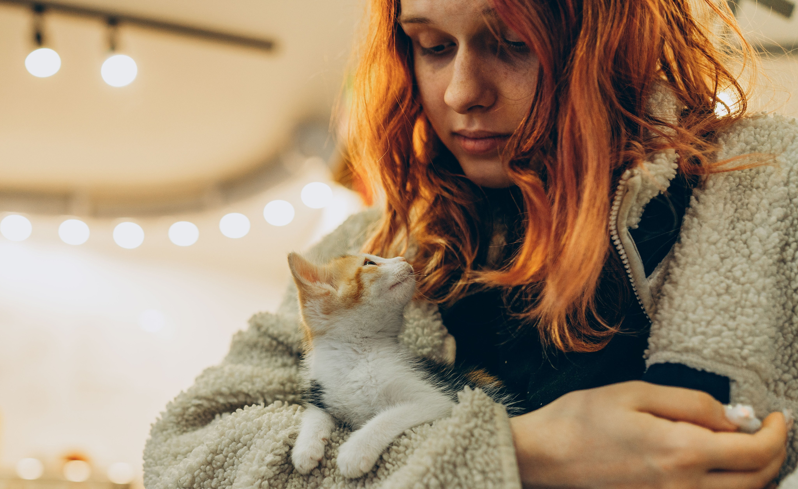 Соник. Фотограф анималист в Спб недорого Олеся Майорова