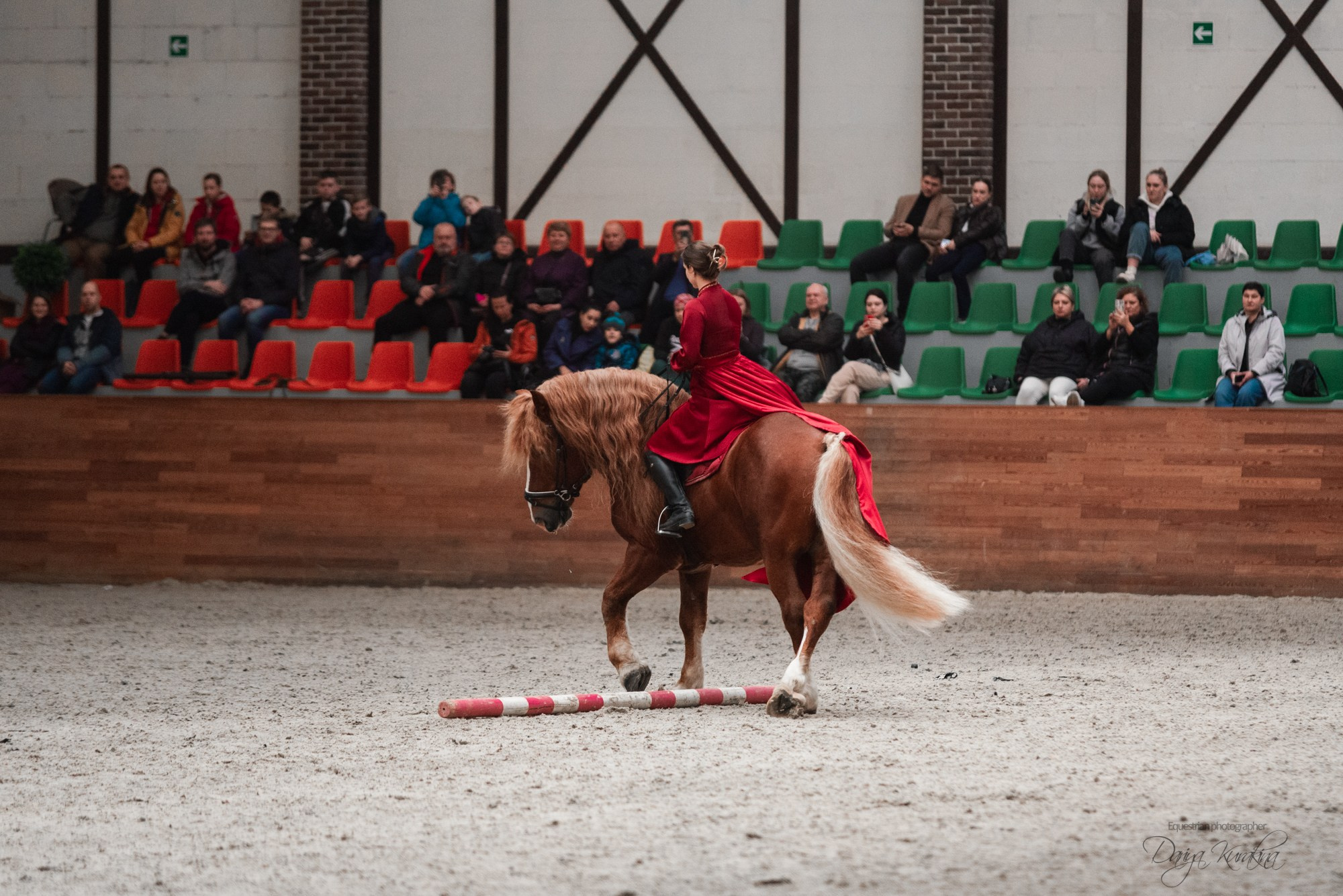 8-я международная выставка Конная Россия. Конный фотограф Куракина Дарья • Фотосессии с лошадьми